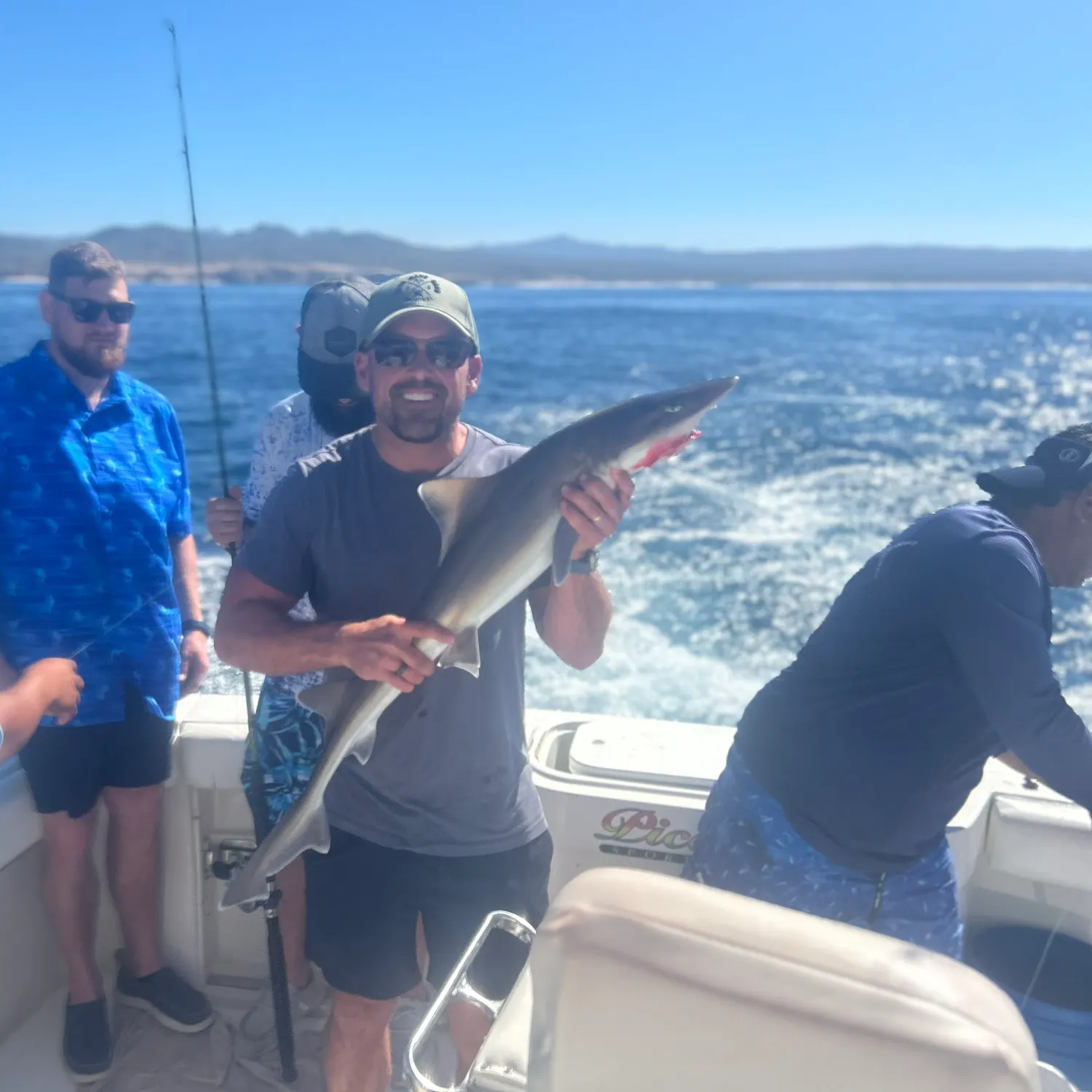 The most recent Dusky smooth-hound catches on Fishbrain