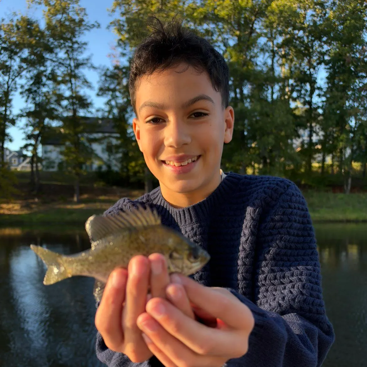 Bluegill caught on Fishbrain