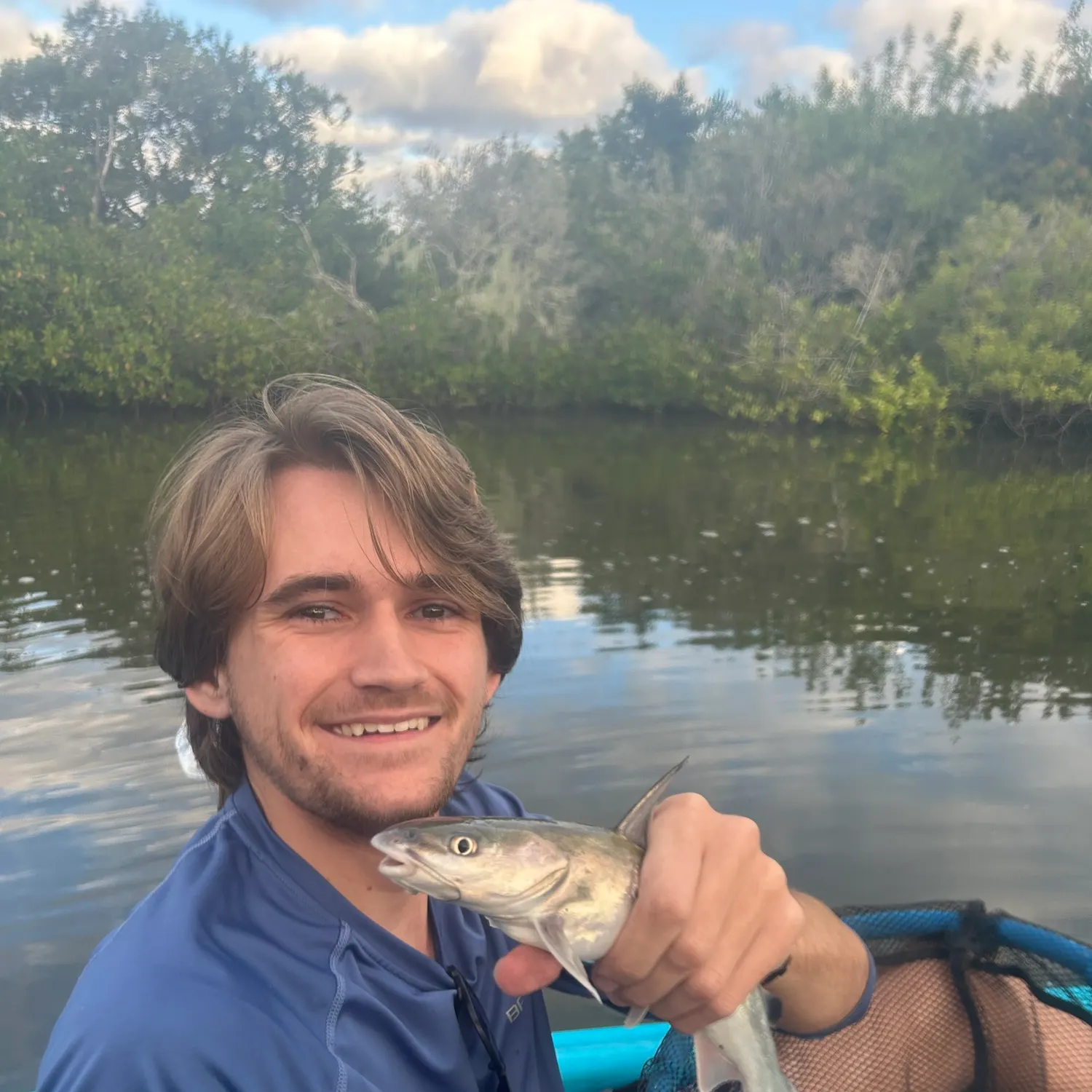 The most recent Hardhead sea catfish catches on Fishbrain