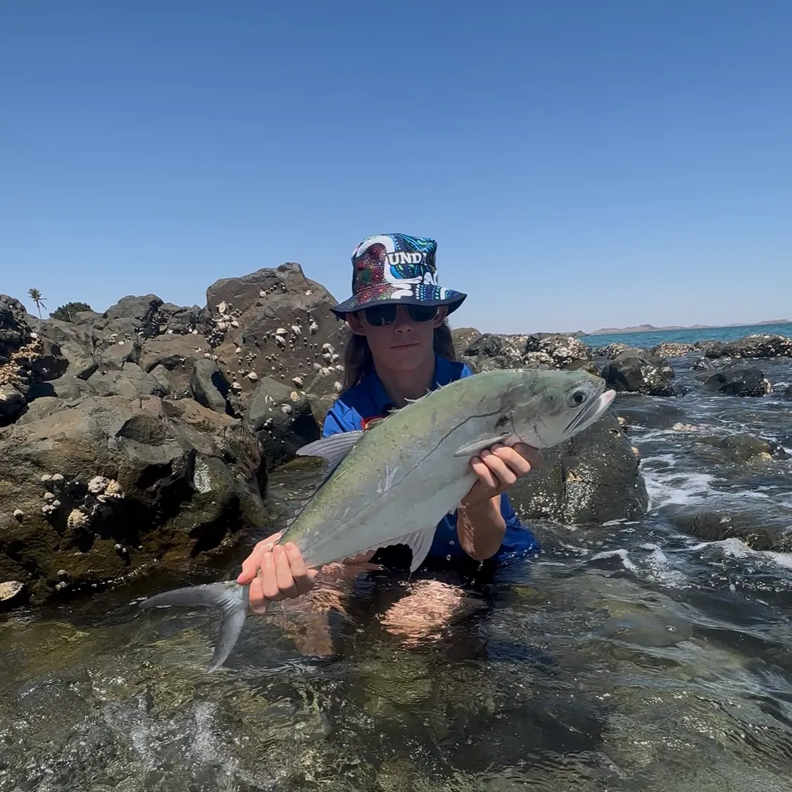 The most recent Talang queenfish catches on Fishbrain