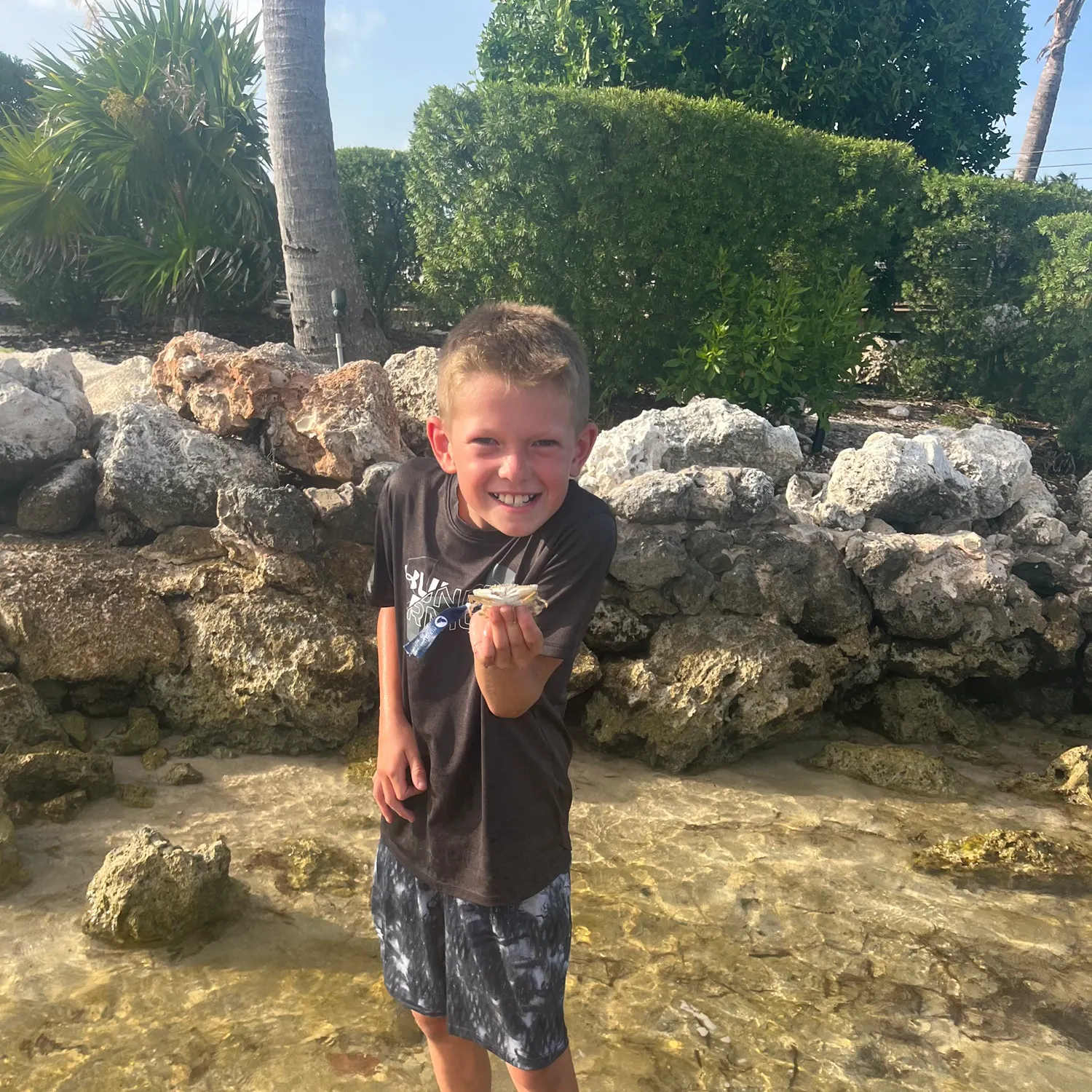 The most recent Blue crab catches on Fishbrain