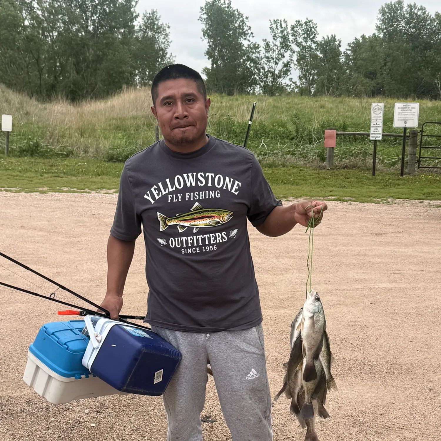recently logged catches