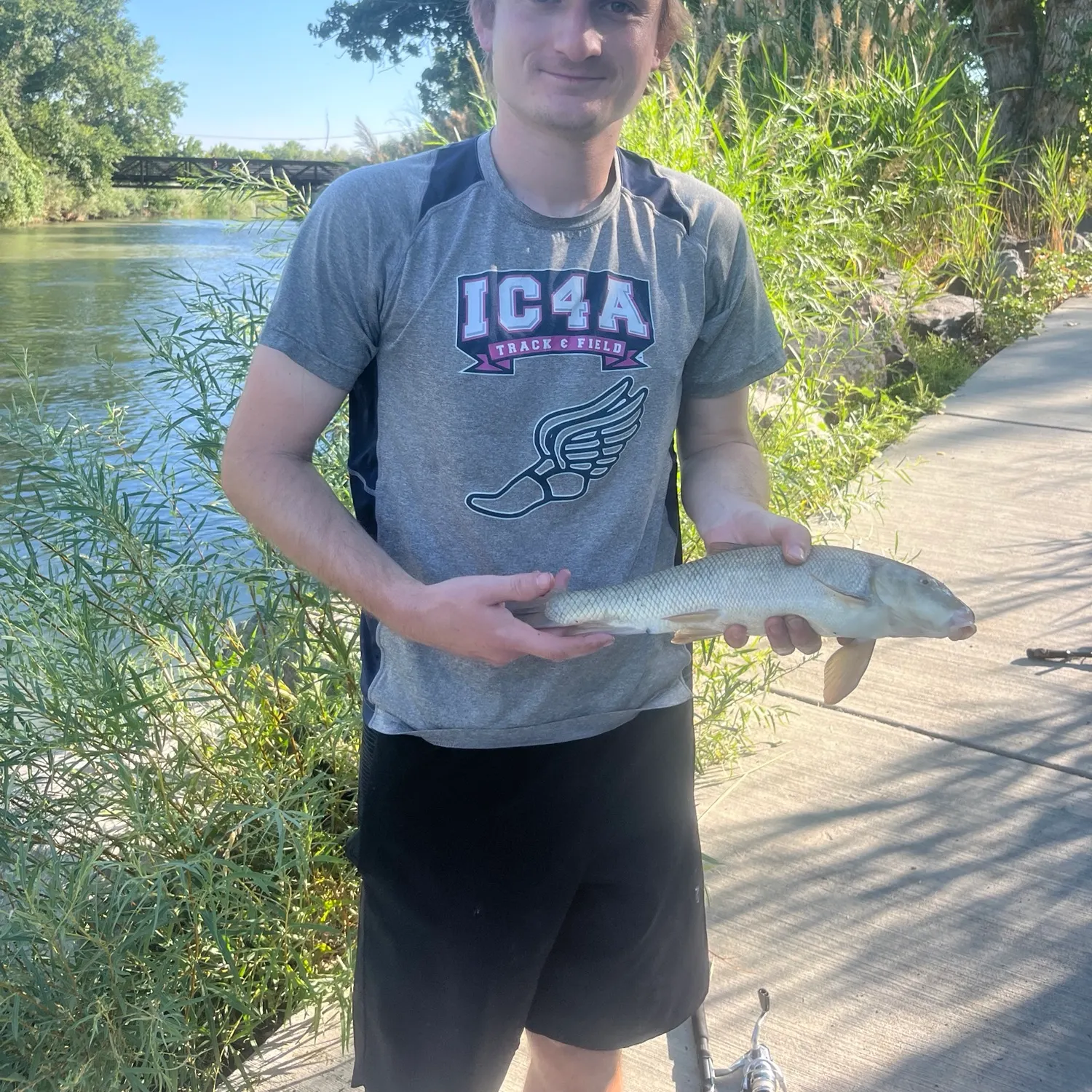 The most recent Utah sucker catches on Fishbrain