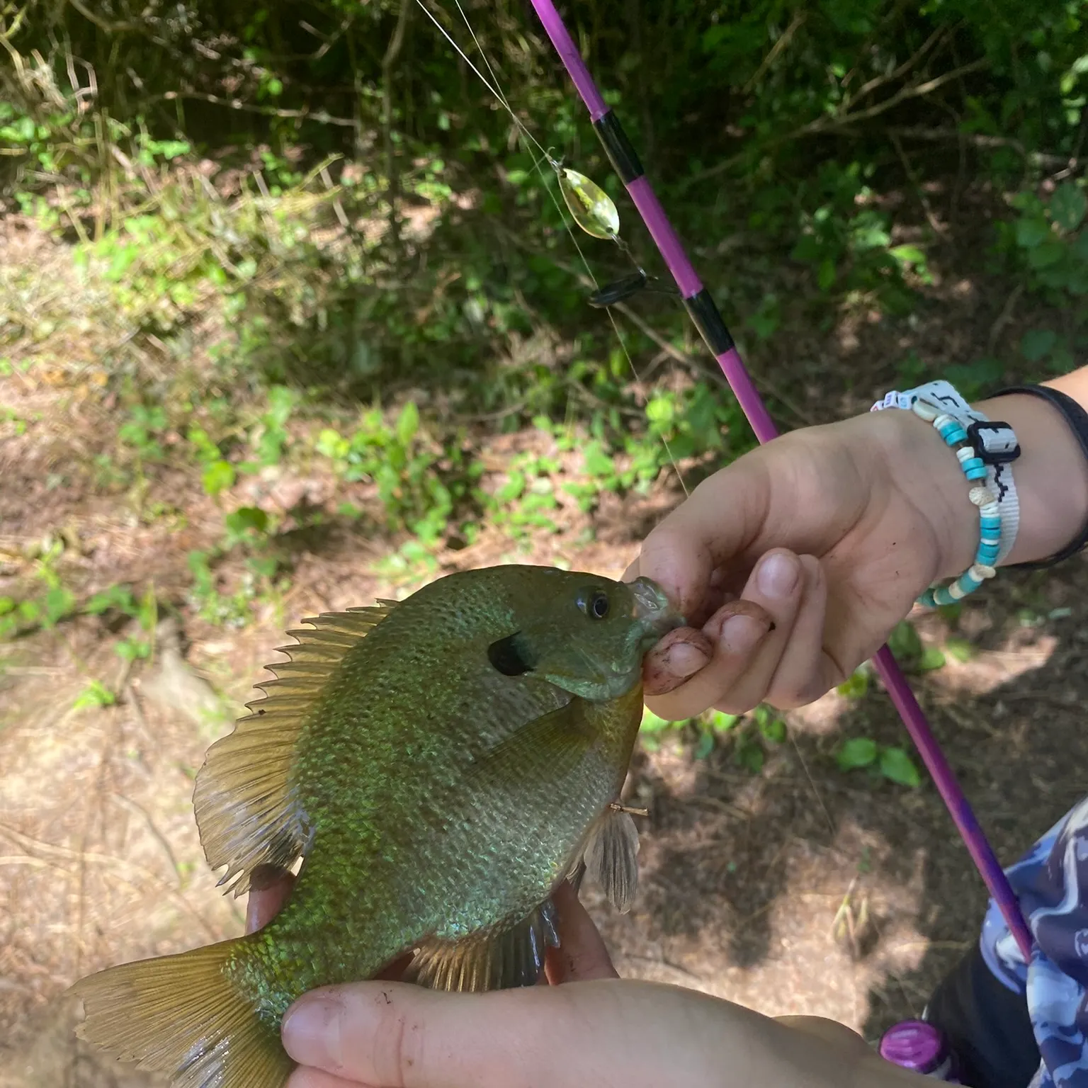 catch