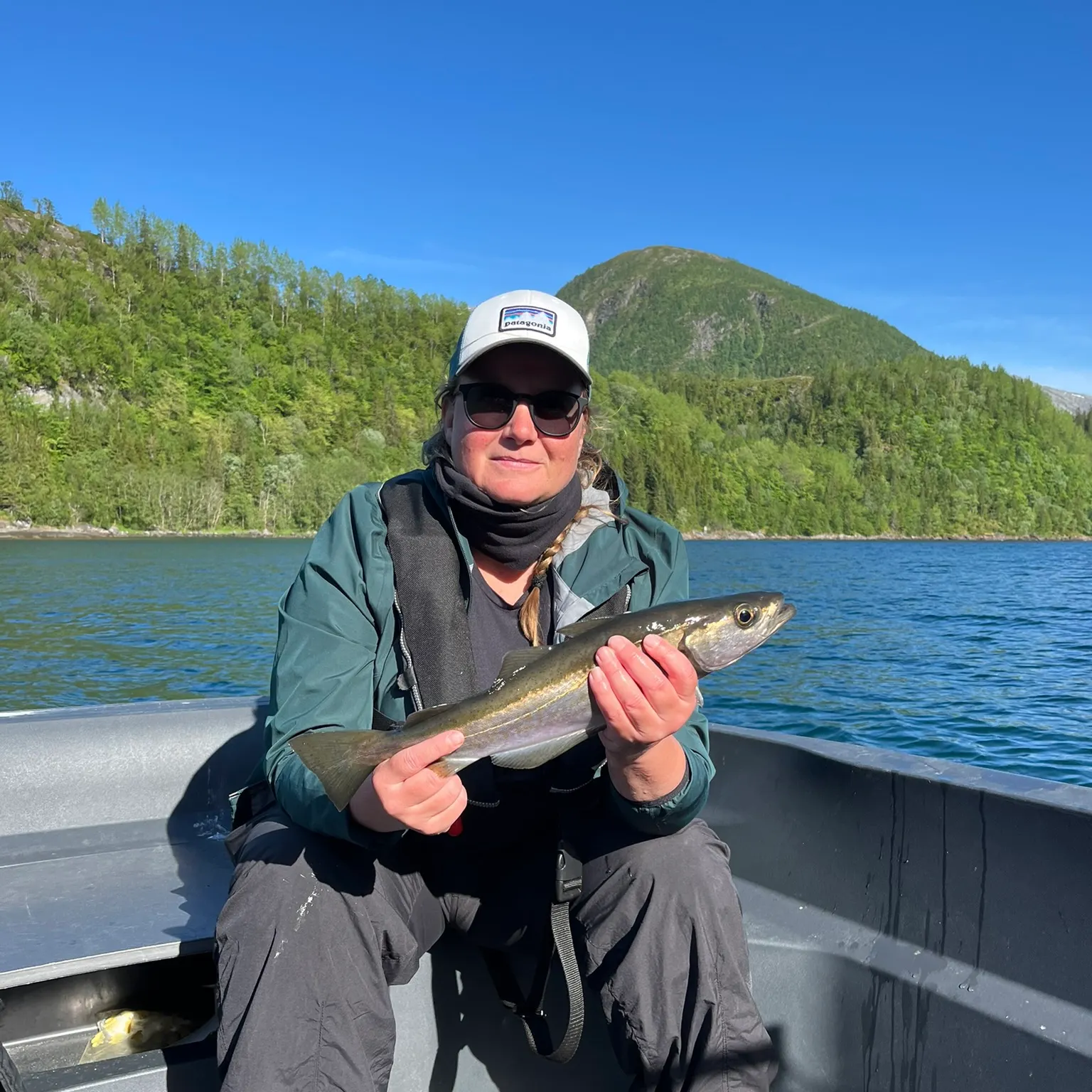 The most recent Whiting catches on Fishbrain