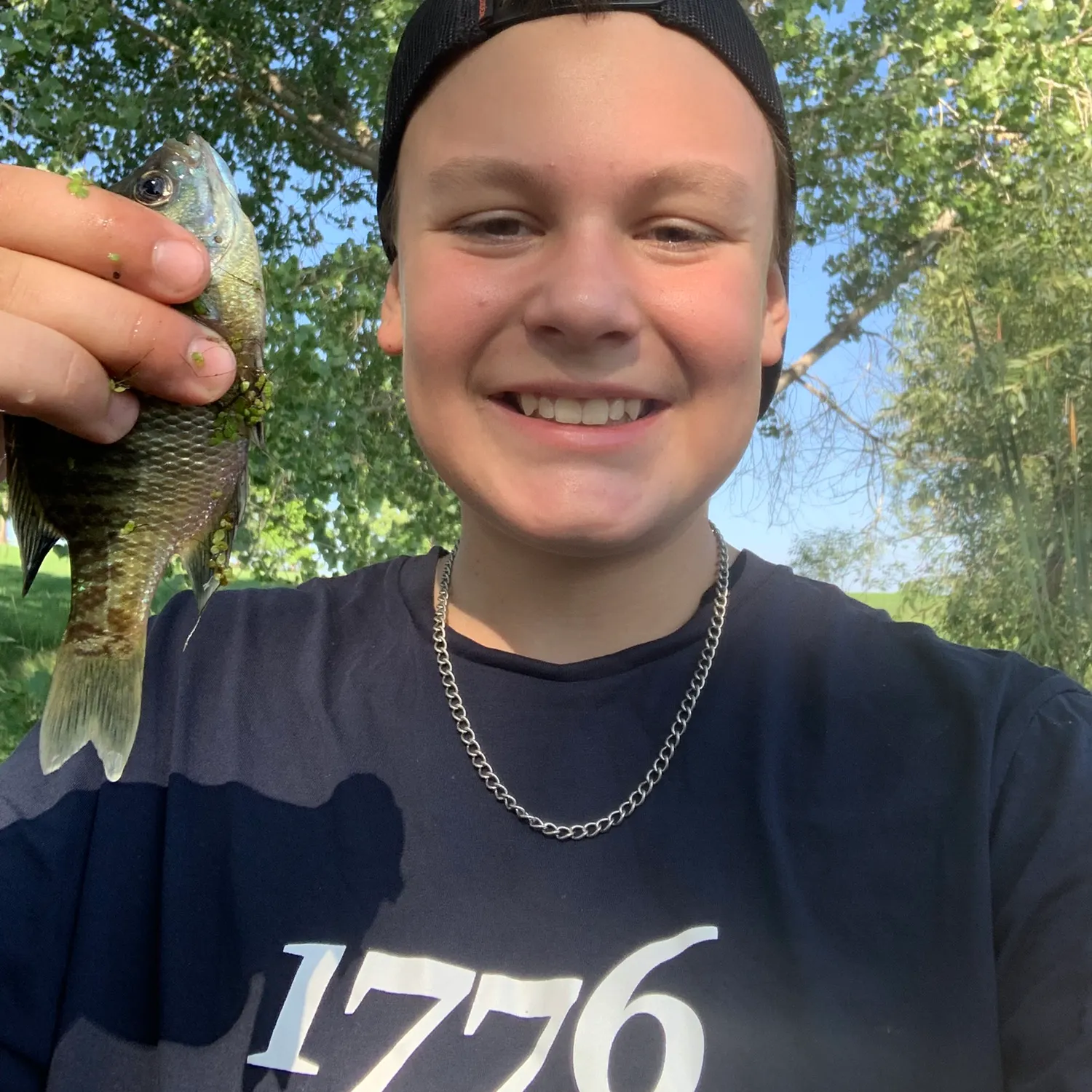Bluegill caught on Fishbrain
