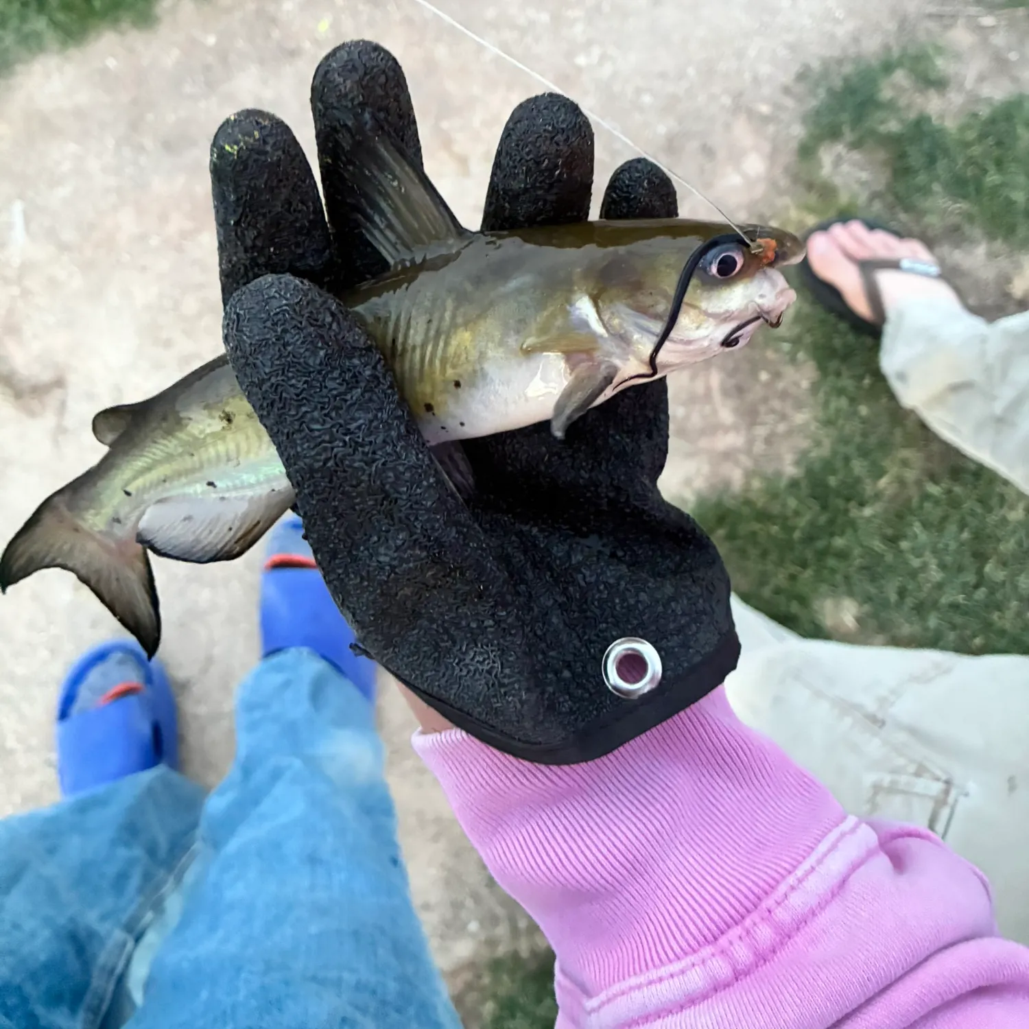 catch
