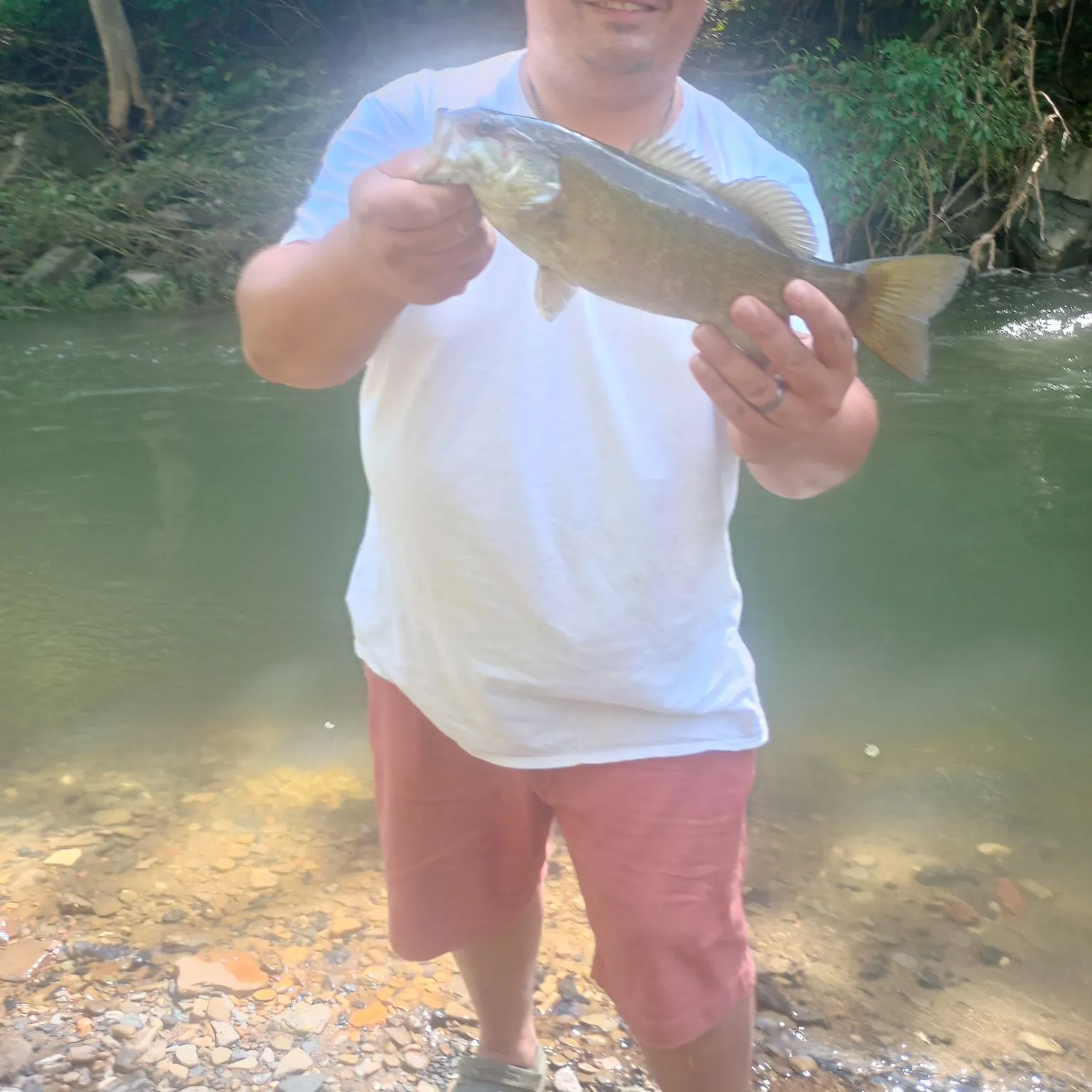 Smallmouth bass caught on Fishbrain