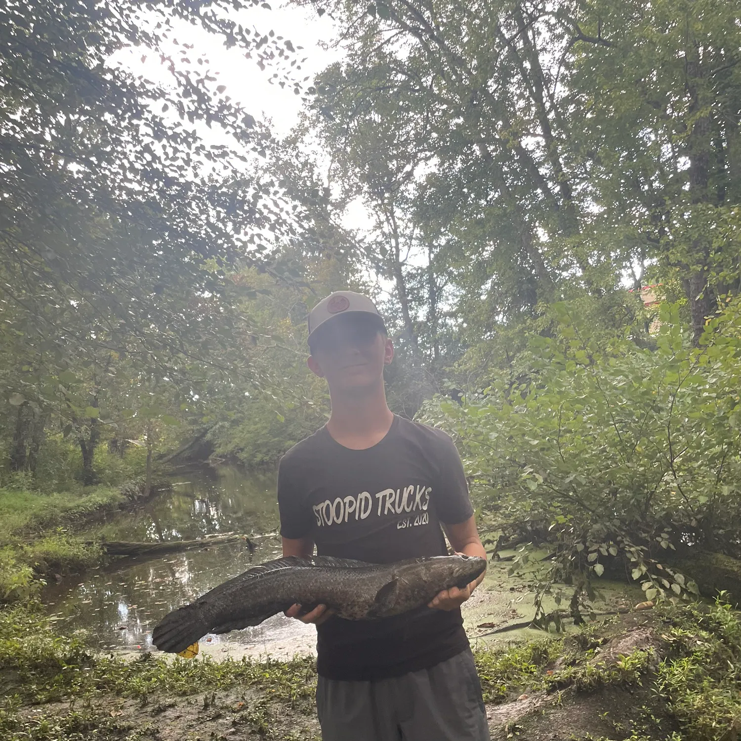 Northern snakehead caught on Fishbrain