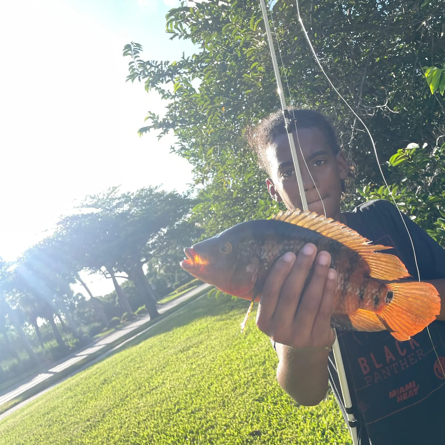 Mayan cichlid caught on Fishbrain