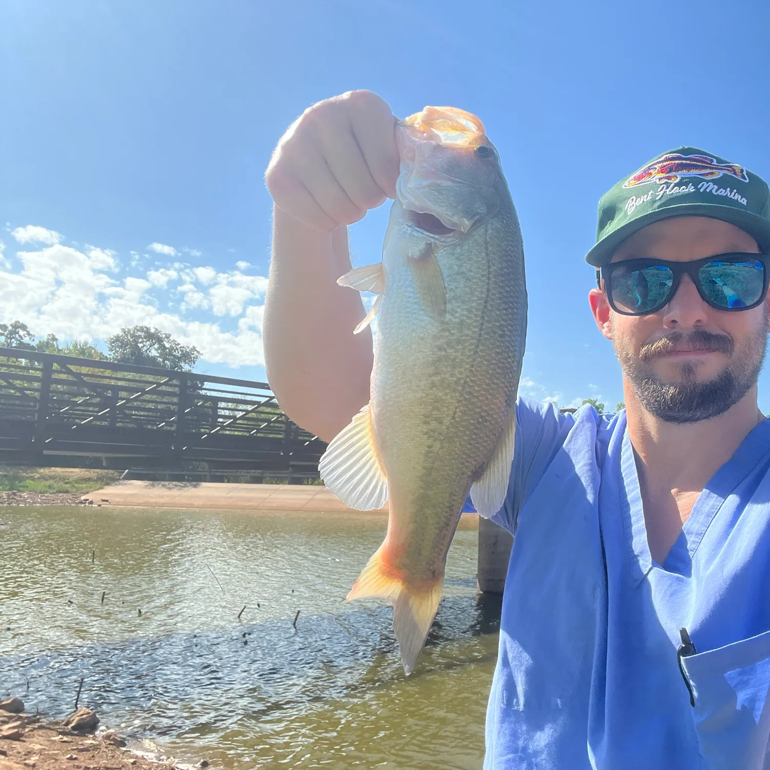 Largemouth bass caught on Fishbrain