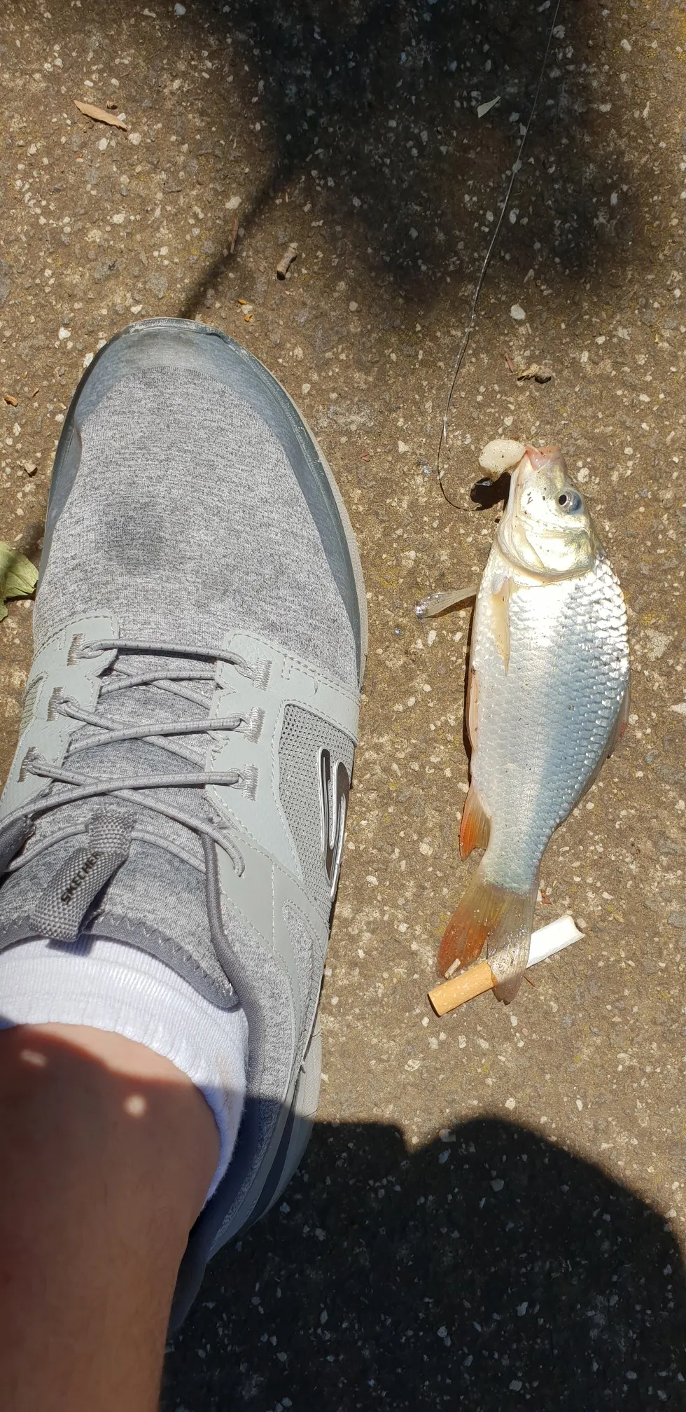 Post image from dad_daughter_team