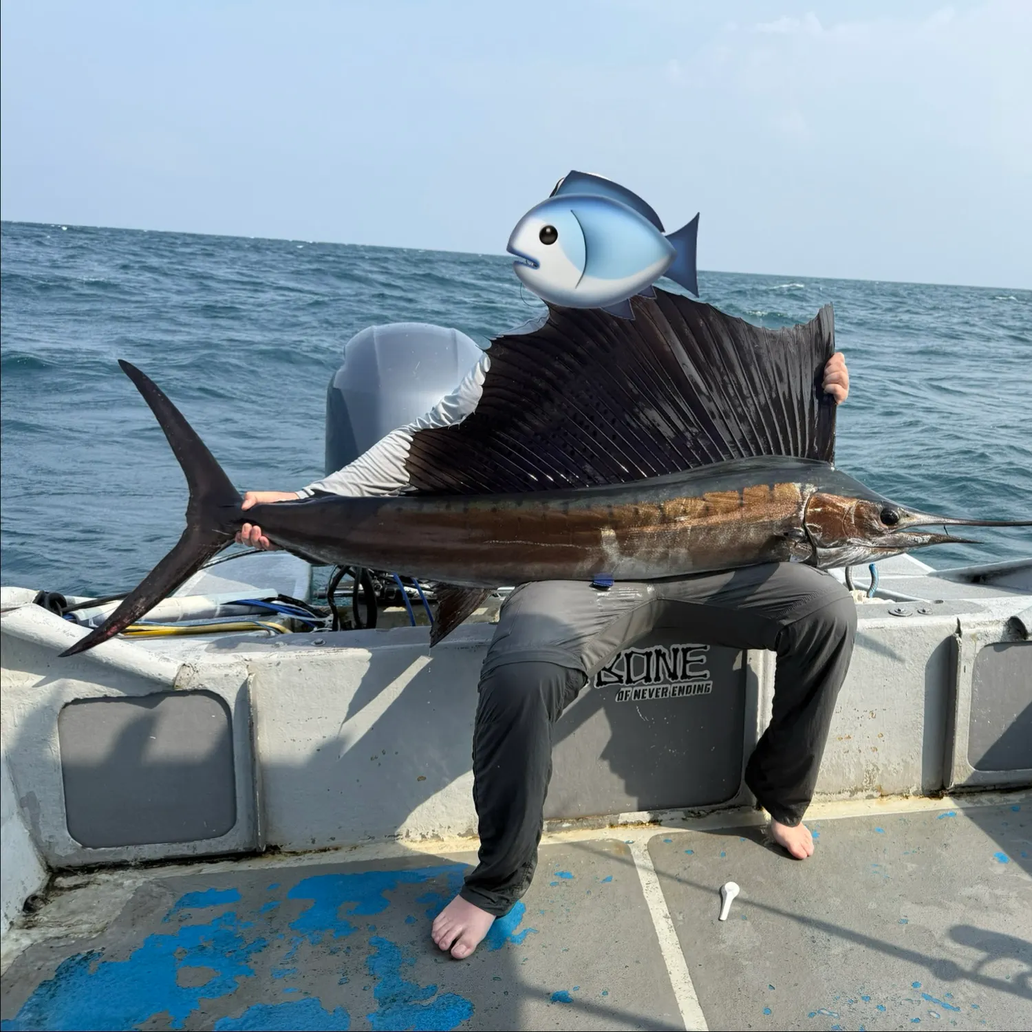 The most recent Indo-Pacific sailfish catches on Fishbrain