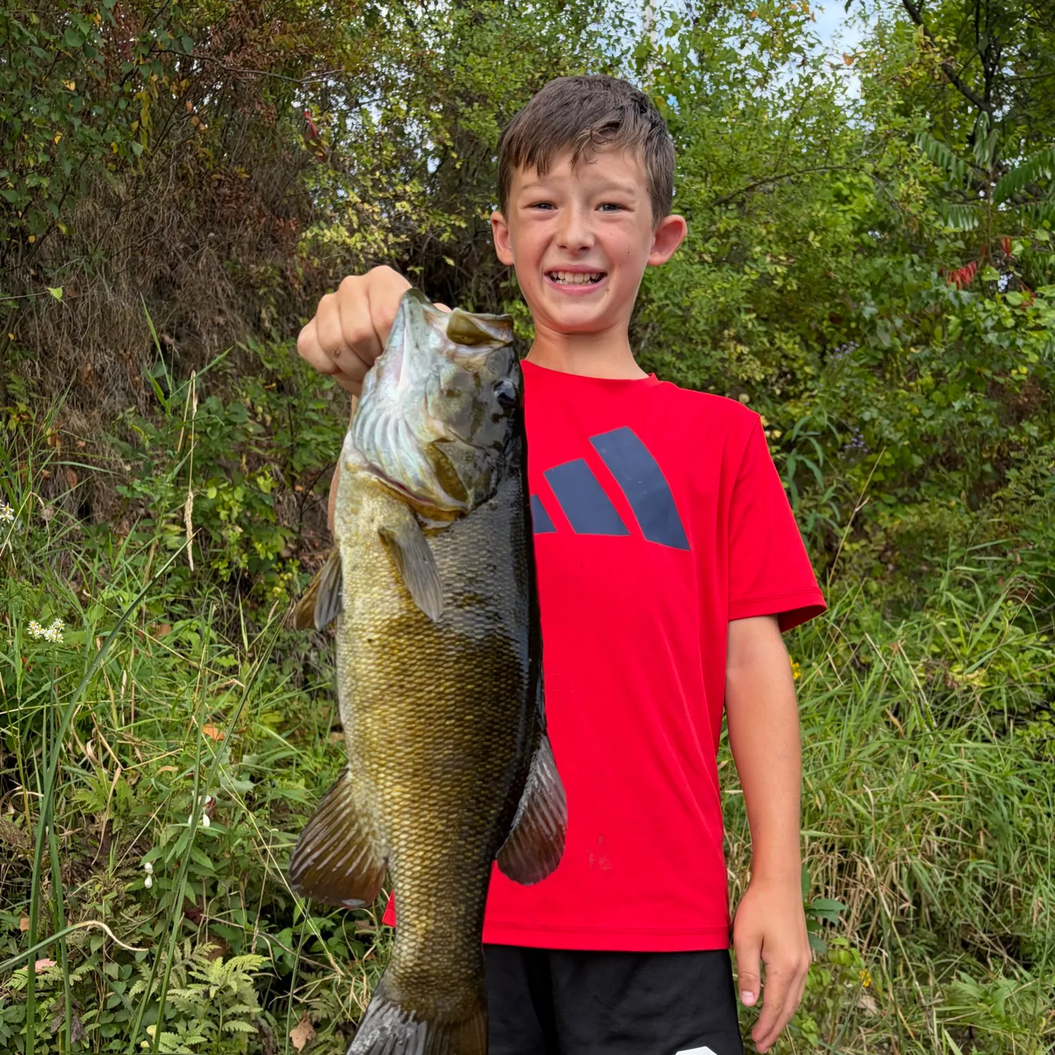 Smallmouth bass caught on Fishbrain