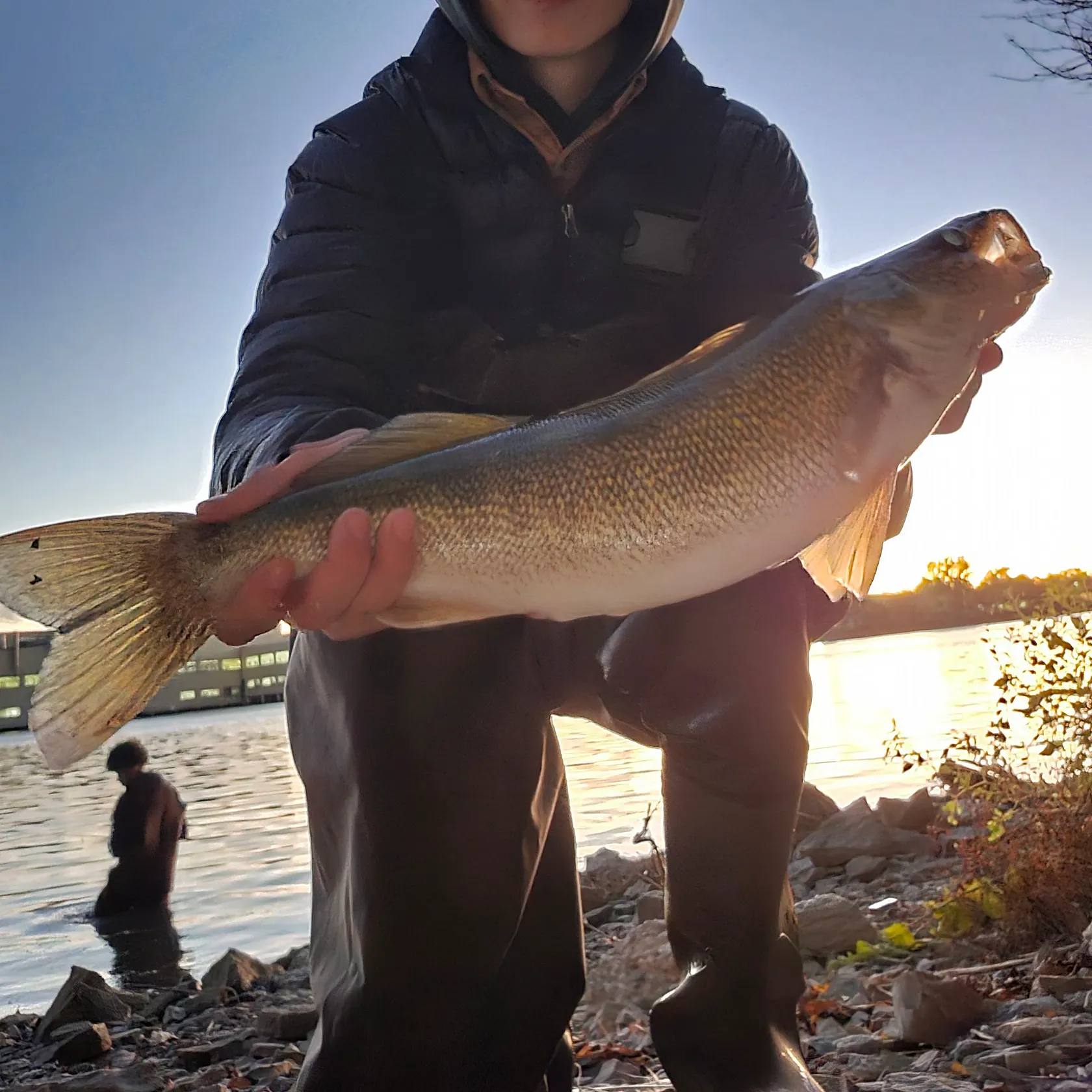 Walleye caught on Fishbrain