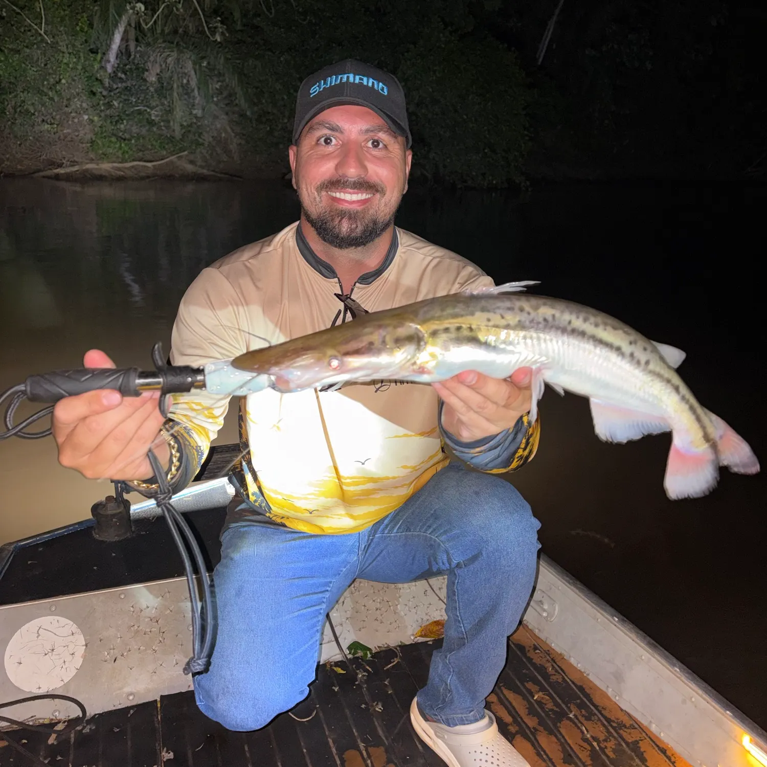The most recent Duckbill catfish catches on Fishbrain