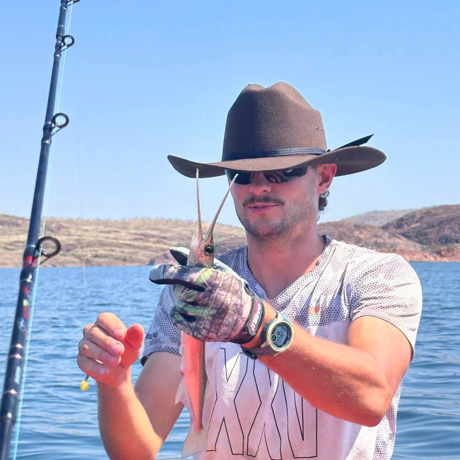 The most recent Southern garfish catches on Fishbrain