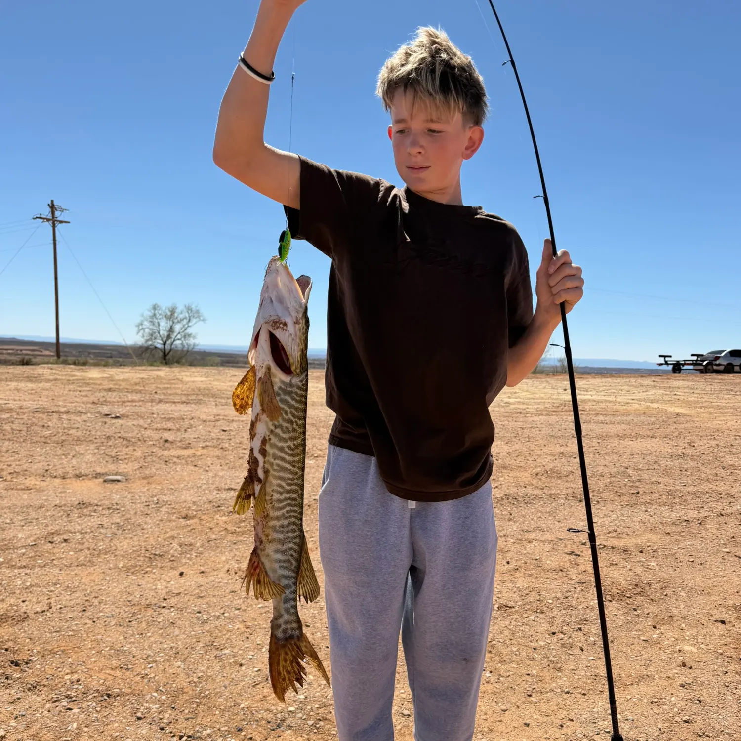 The most recent Tiger muskellunge catches on Fishbrain