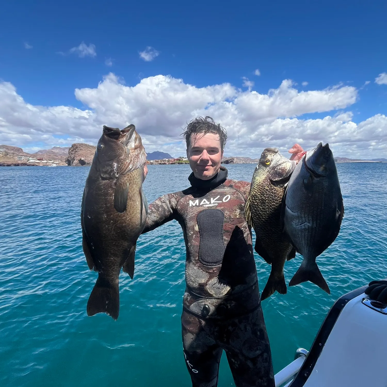 The most popular recent Spotted grouper catch on Fishbrain