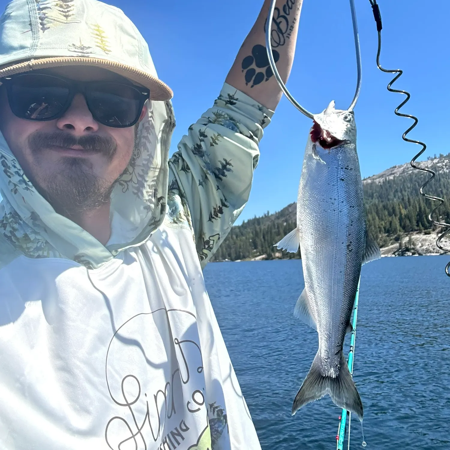 The most recent Kokanee salmon catches on Fishbrain