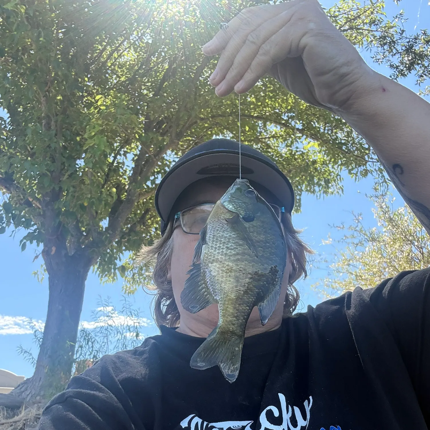 Bluegill caught on Fishbrain