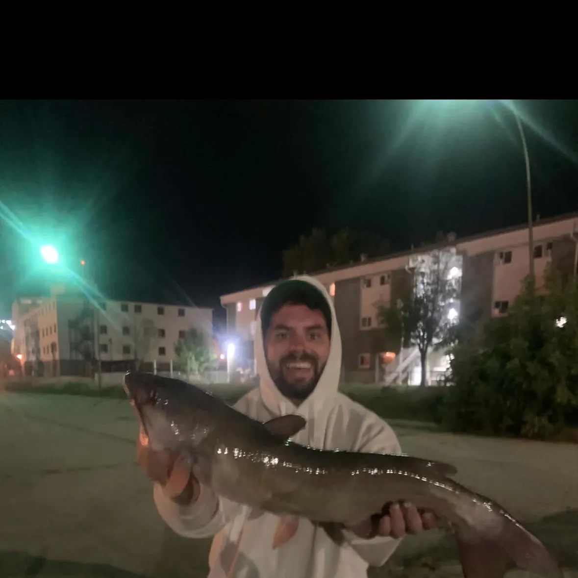 Blue catfish caught on Fishbrain