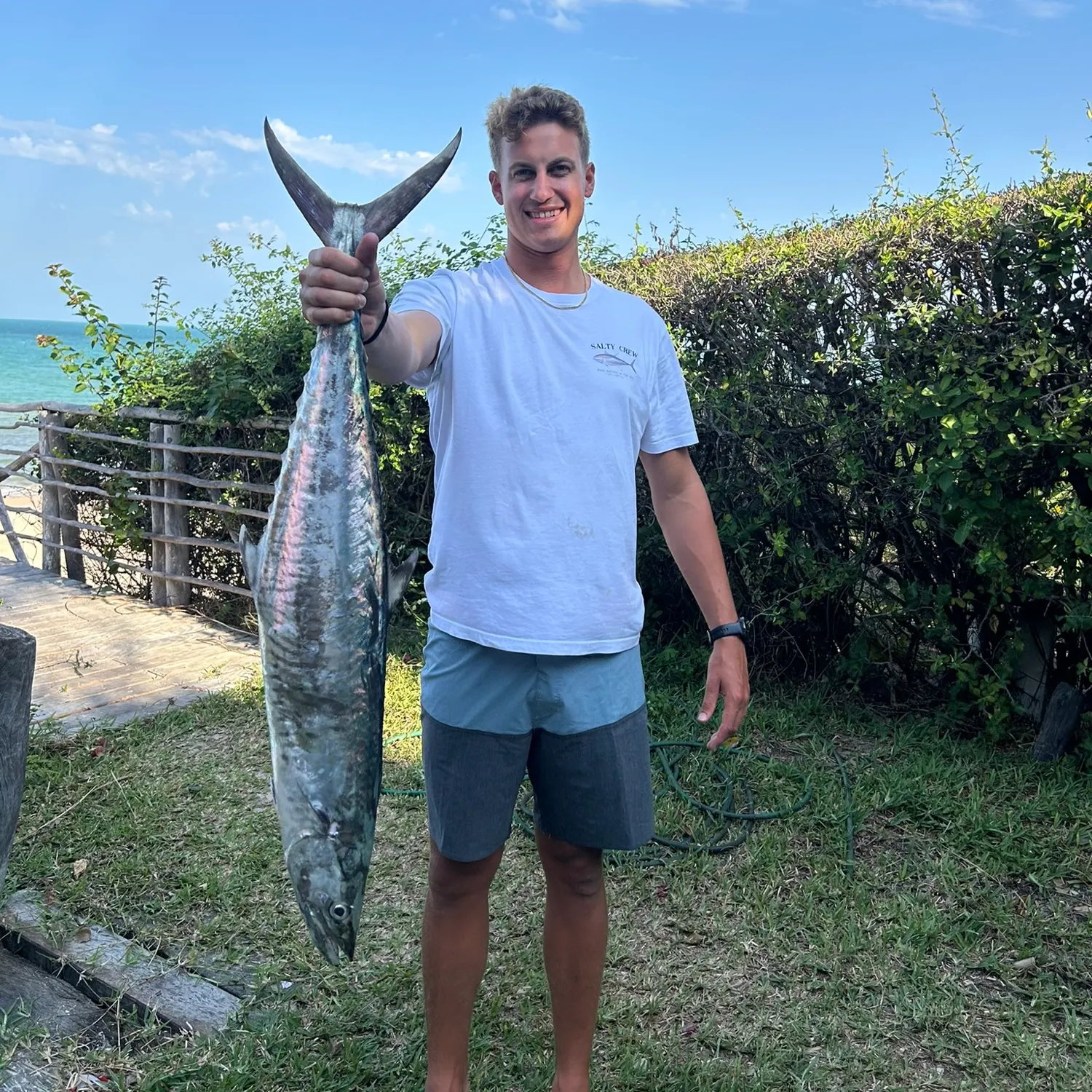 The most recent Narrow-barred Spanish mackerel catches on Fishbrain