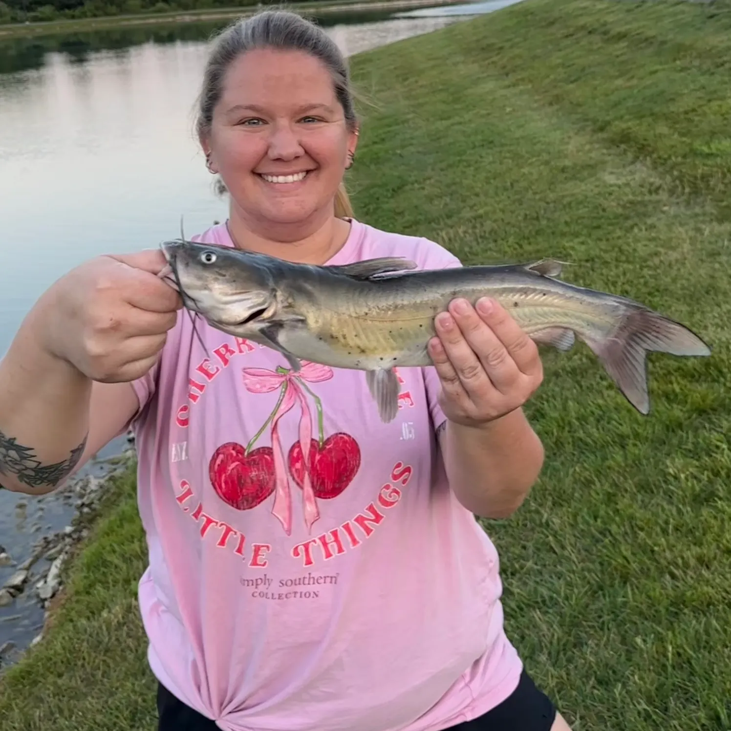 Channel catfish caught on Fishbrain