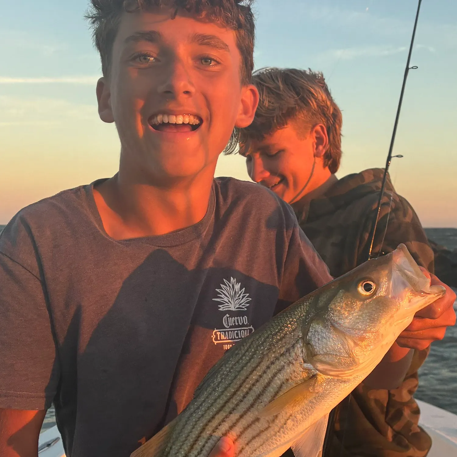 Striped bass caught on Fishbrain