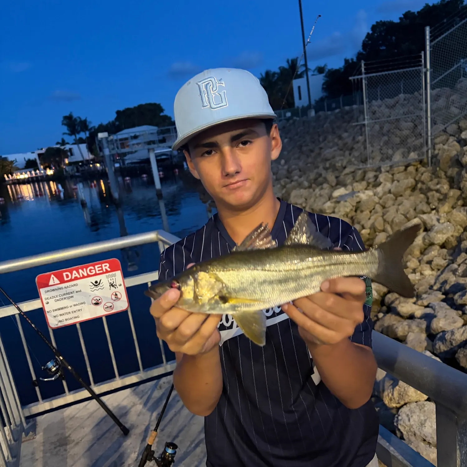 Common snook caught on Fishbrain