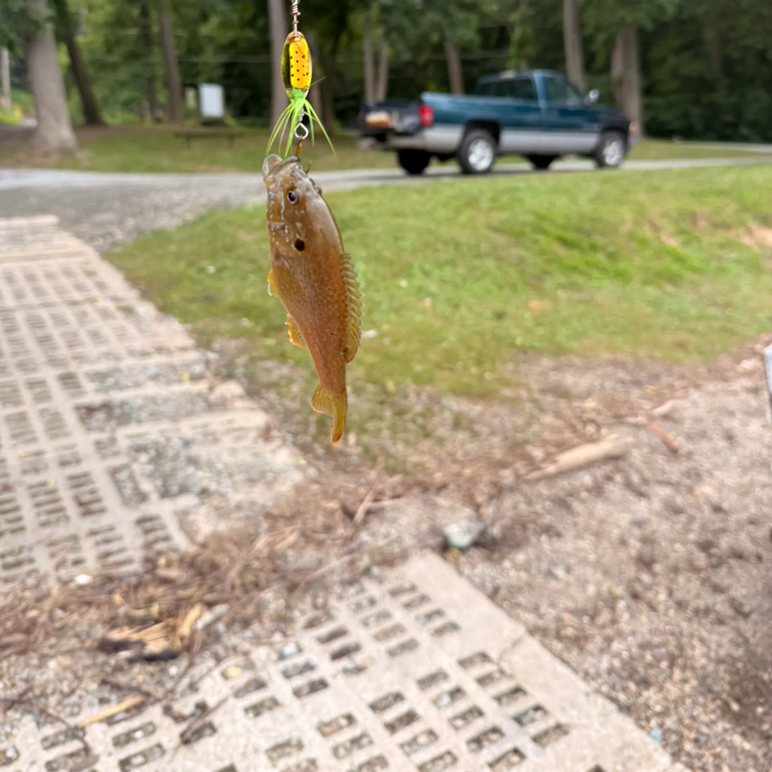 catch