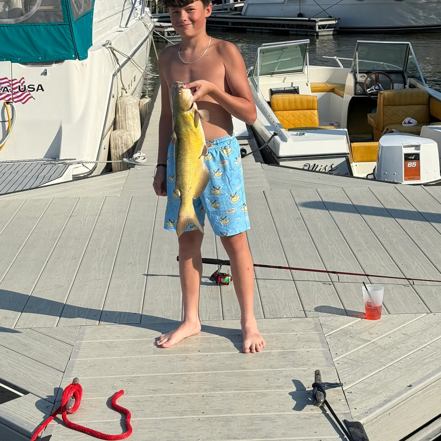 recently logged catches
