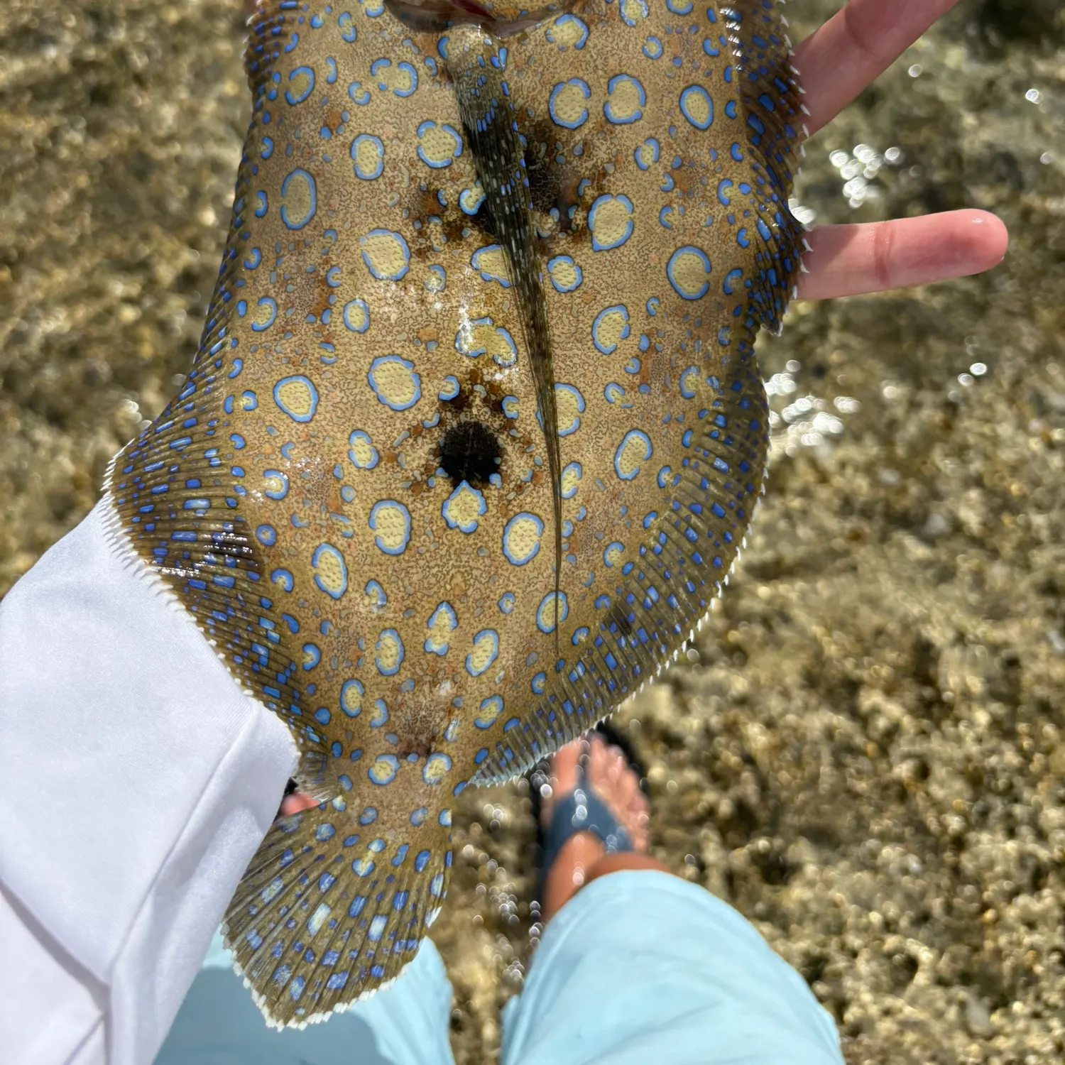 most liked catch image
