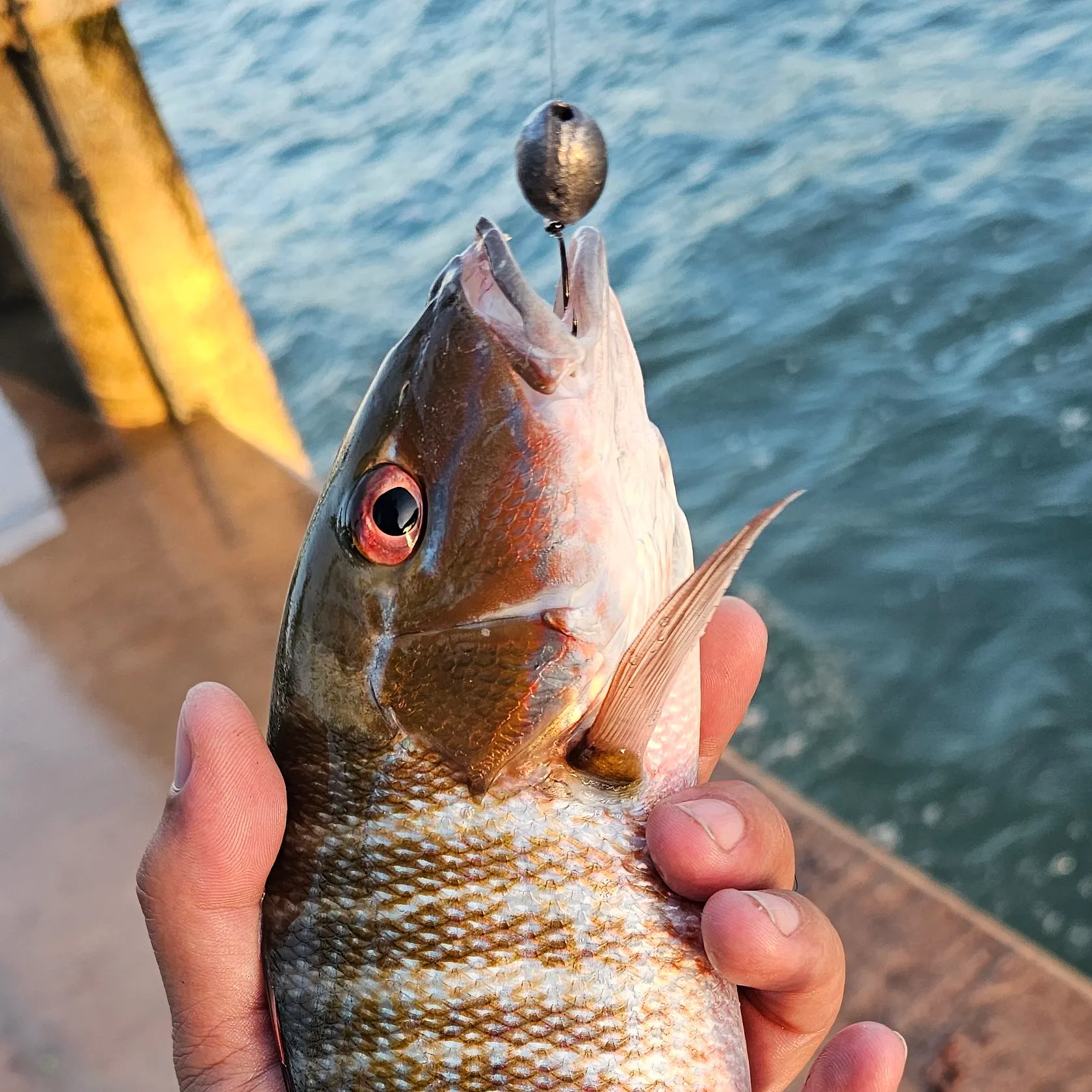 catch