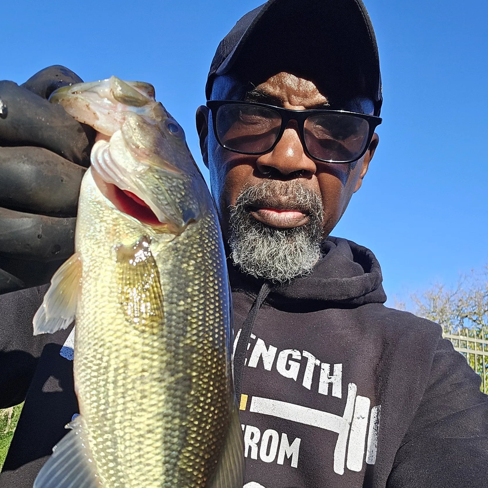 Fish caught on Fishbrain