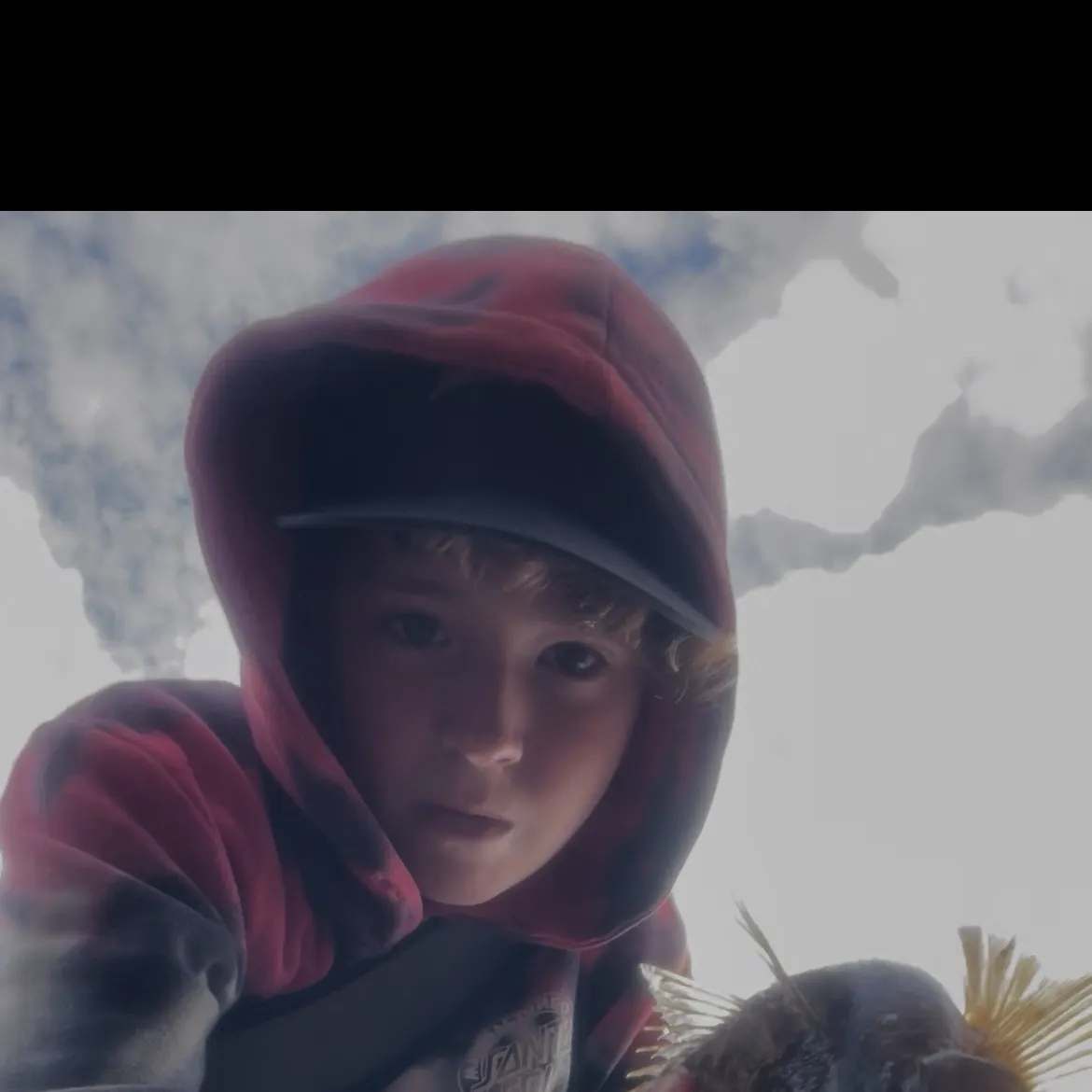 Dusky flathead caught on Fishbrain