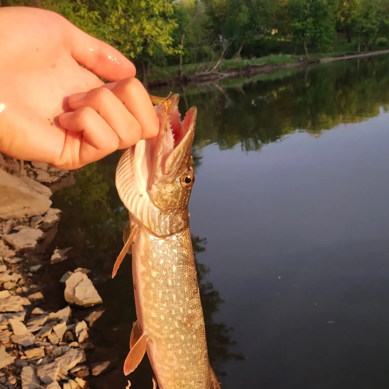 catch