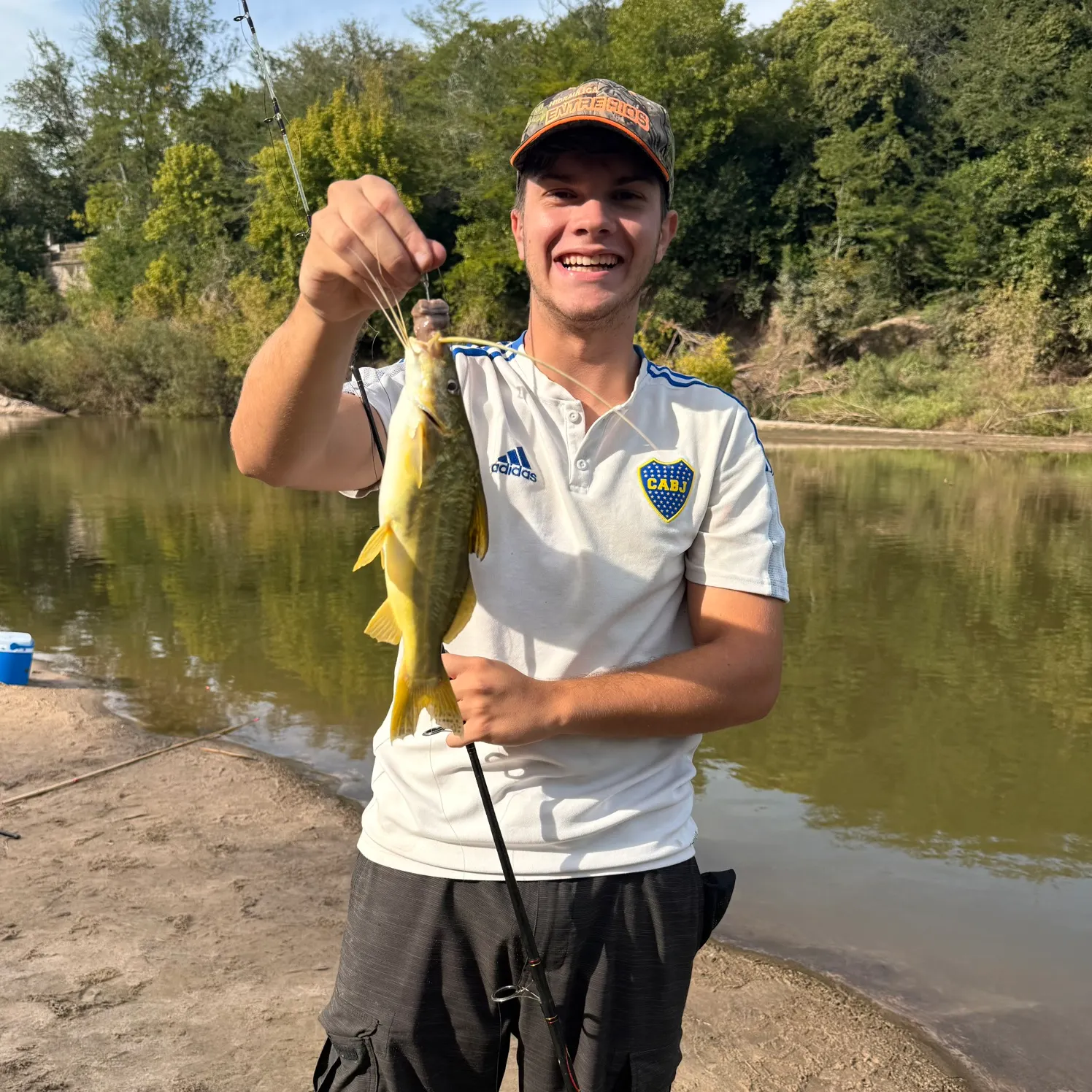 The most recent Spotted pimelodus catches on Fishbrain