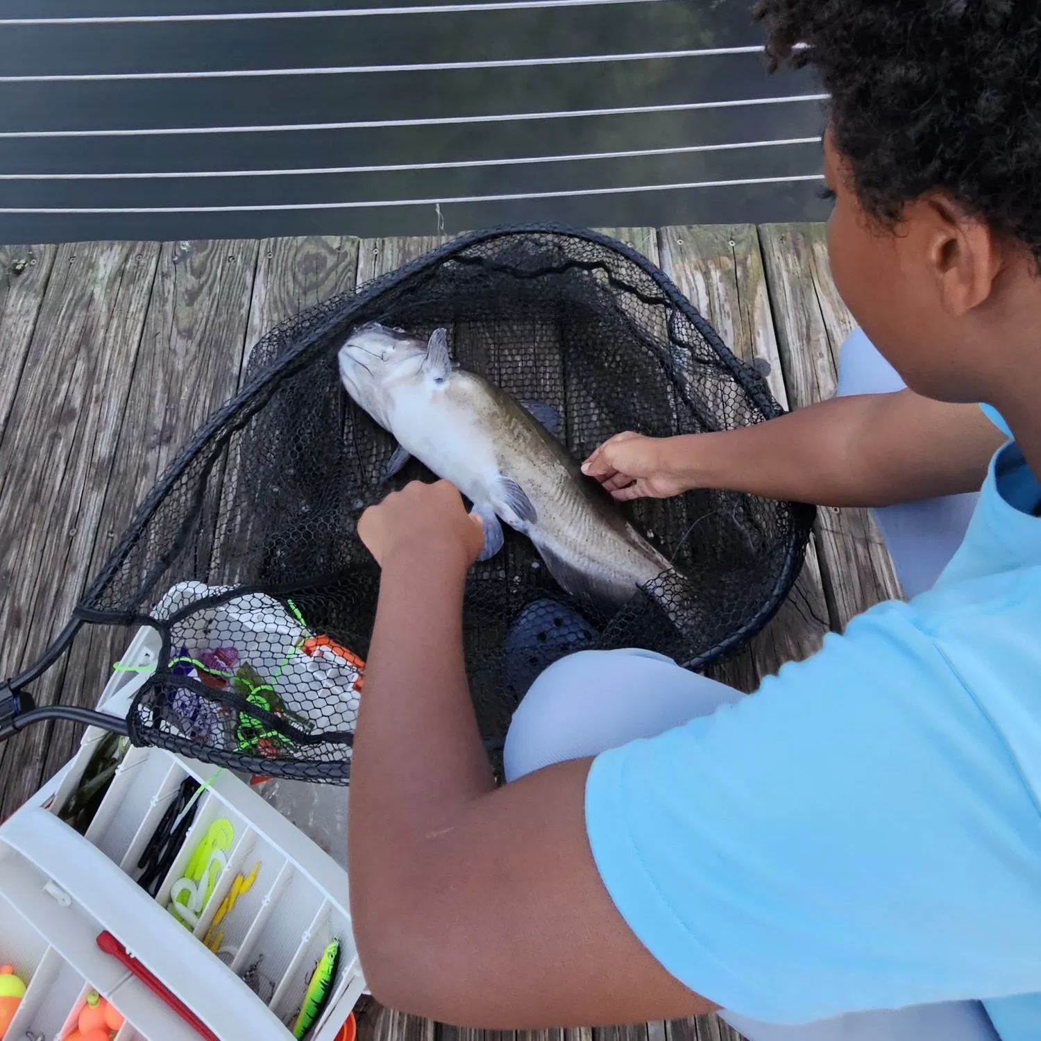 Channel catfish caught on Fishbrain