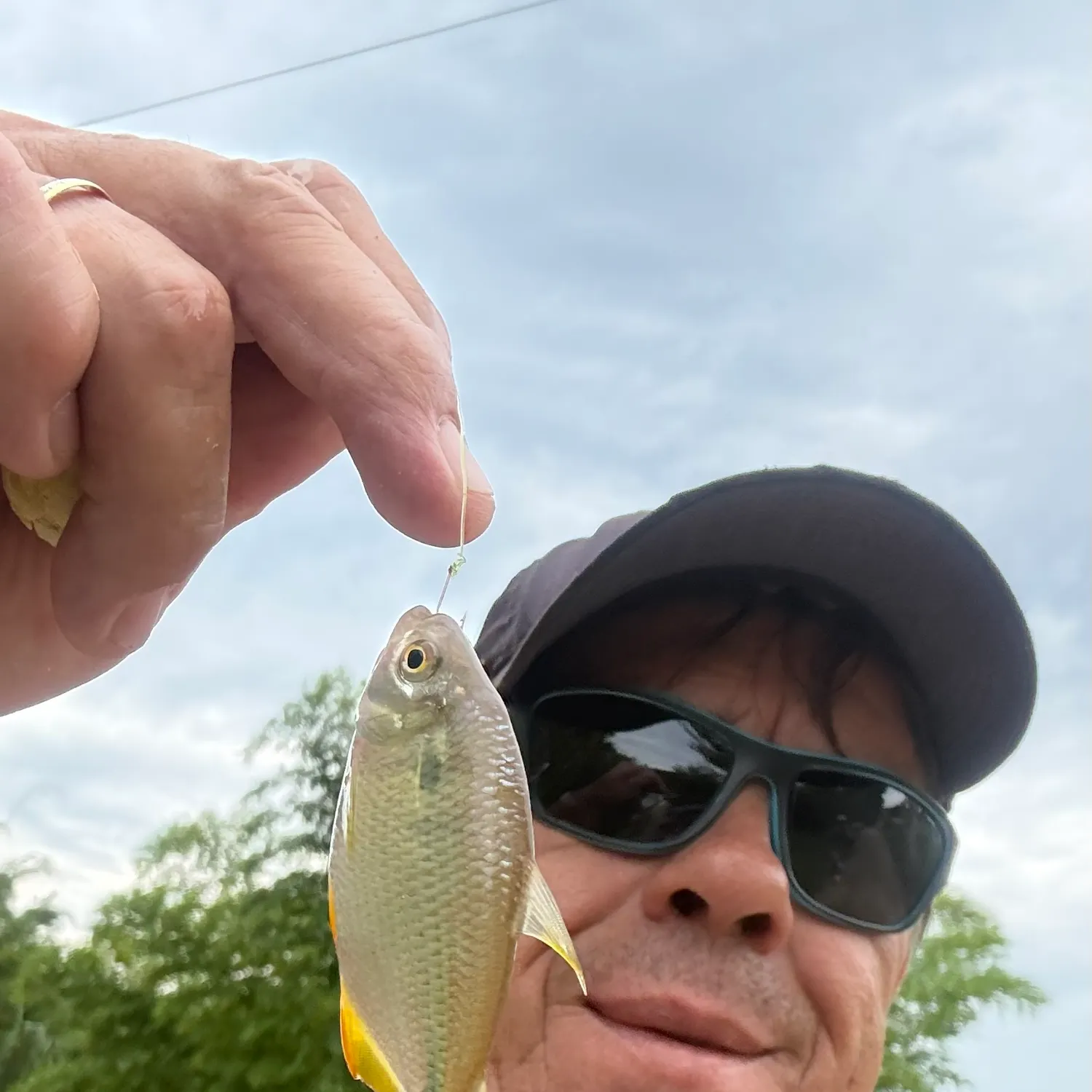 The most recent Twospot astyanax catches on Fishbrain