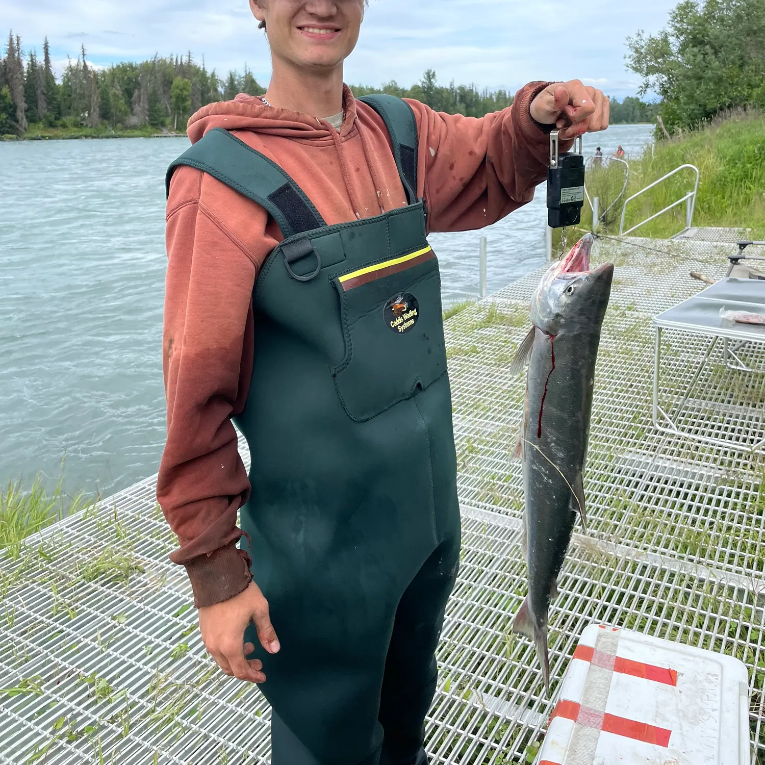 The most recent Sockeye salmon catches on Fishbrain