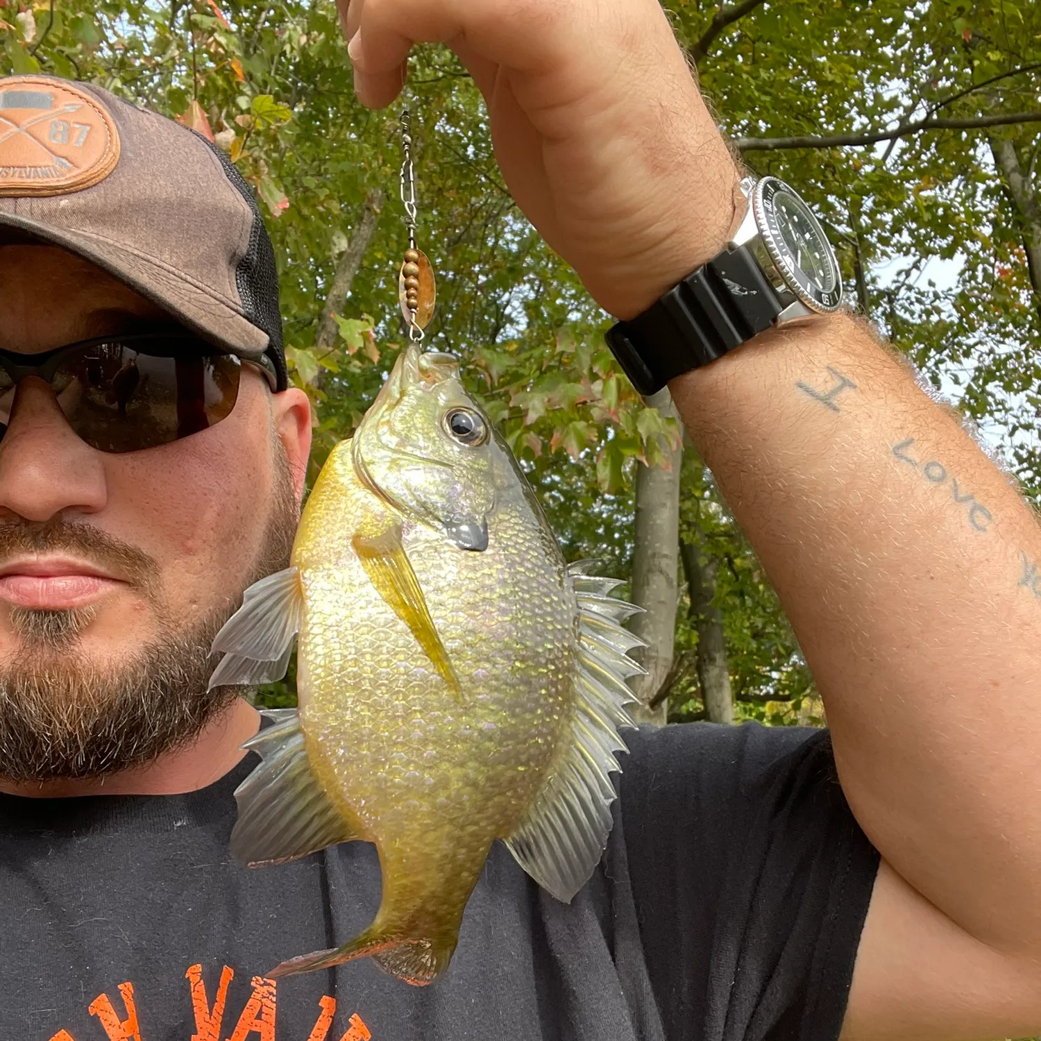 Bluegill caught on Fishbrain