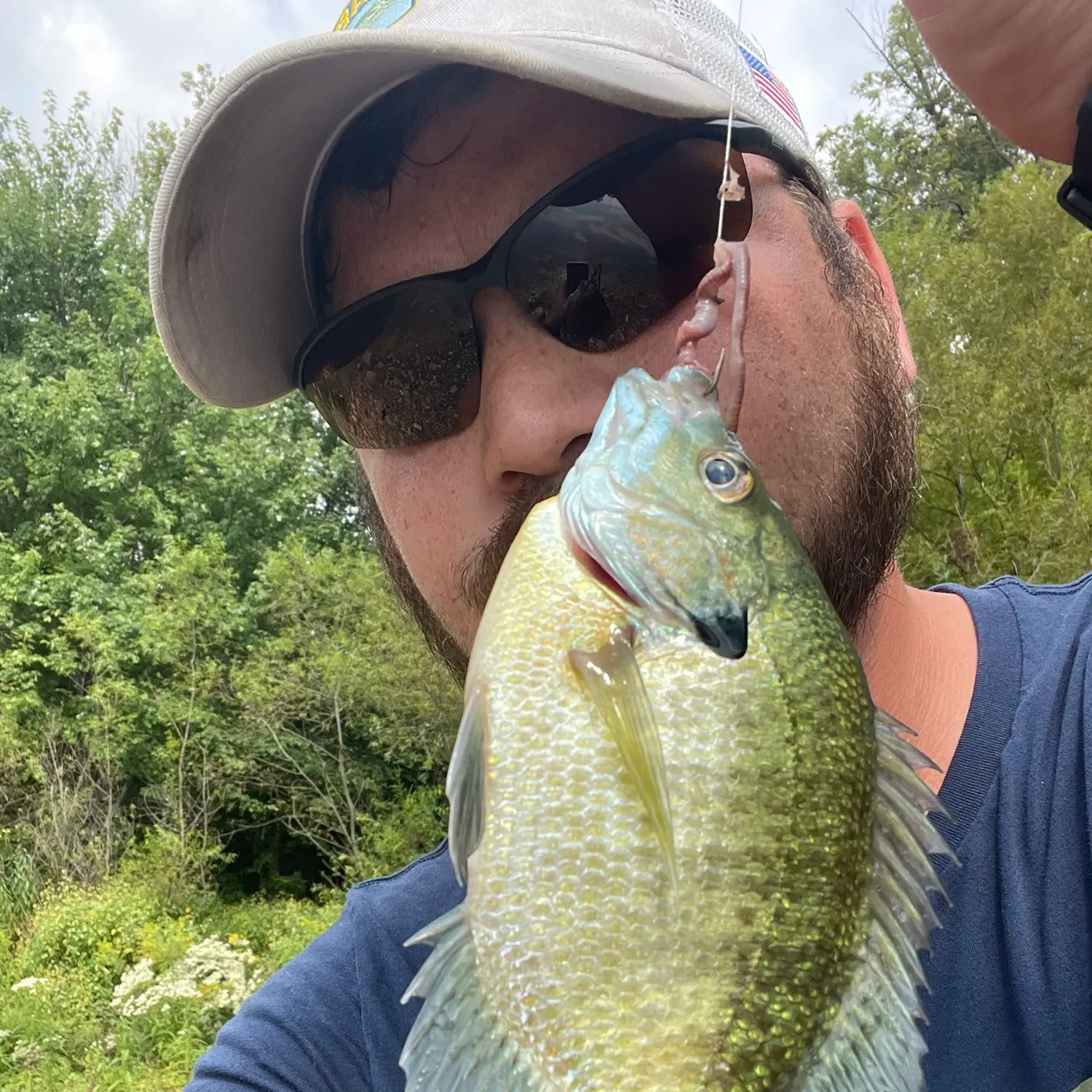 Bluegill caught on Fishbrain