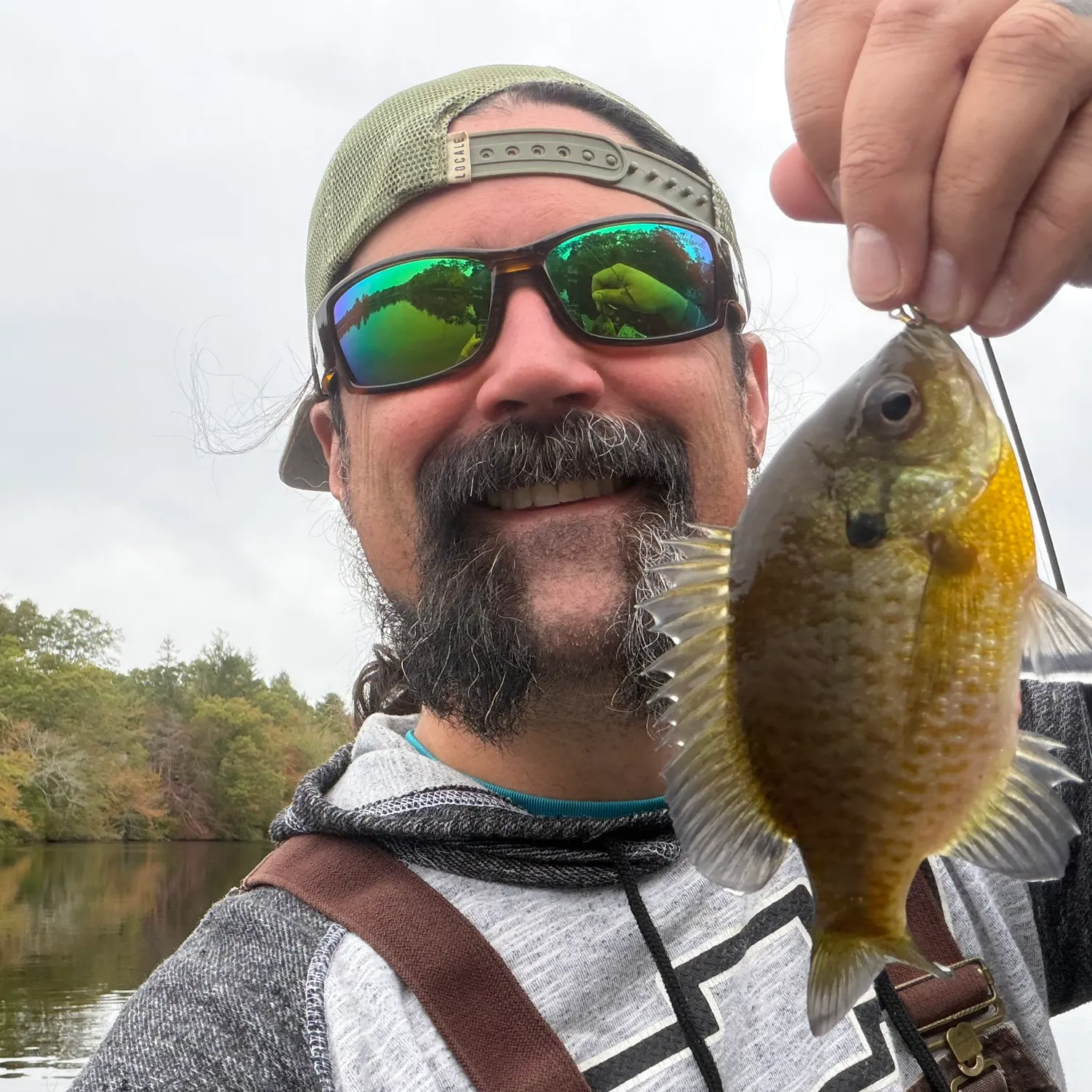 Bluegill caught on Fishbrain