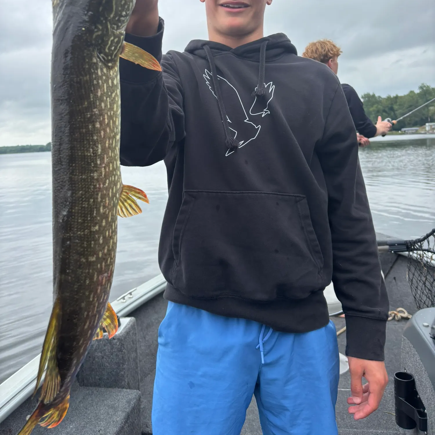 Northern pike caught on Fishbrain
