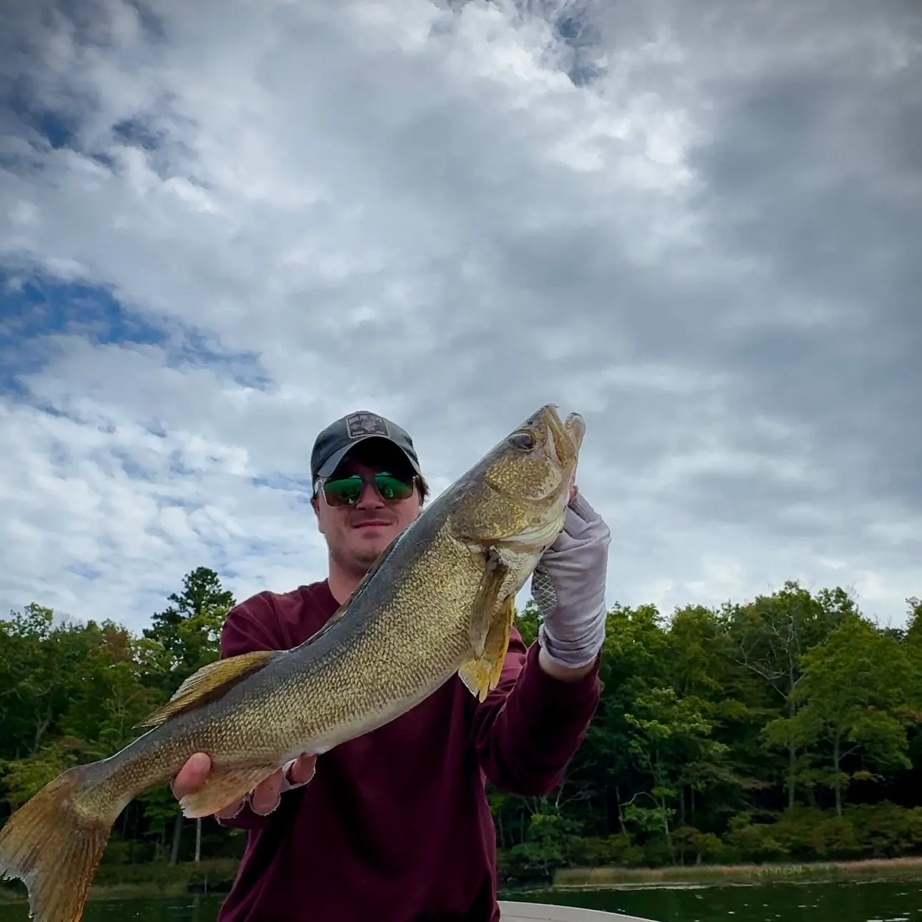 Walleye caught on Fishbrain