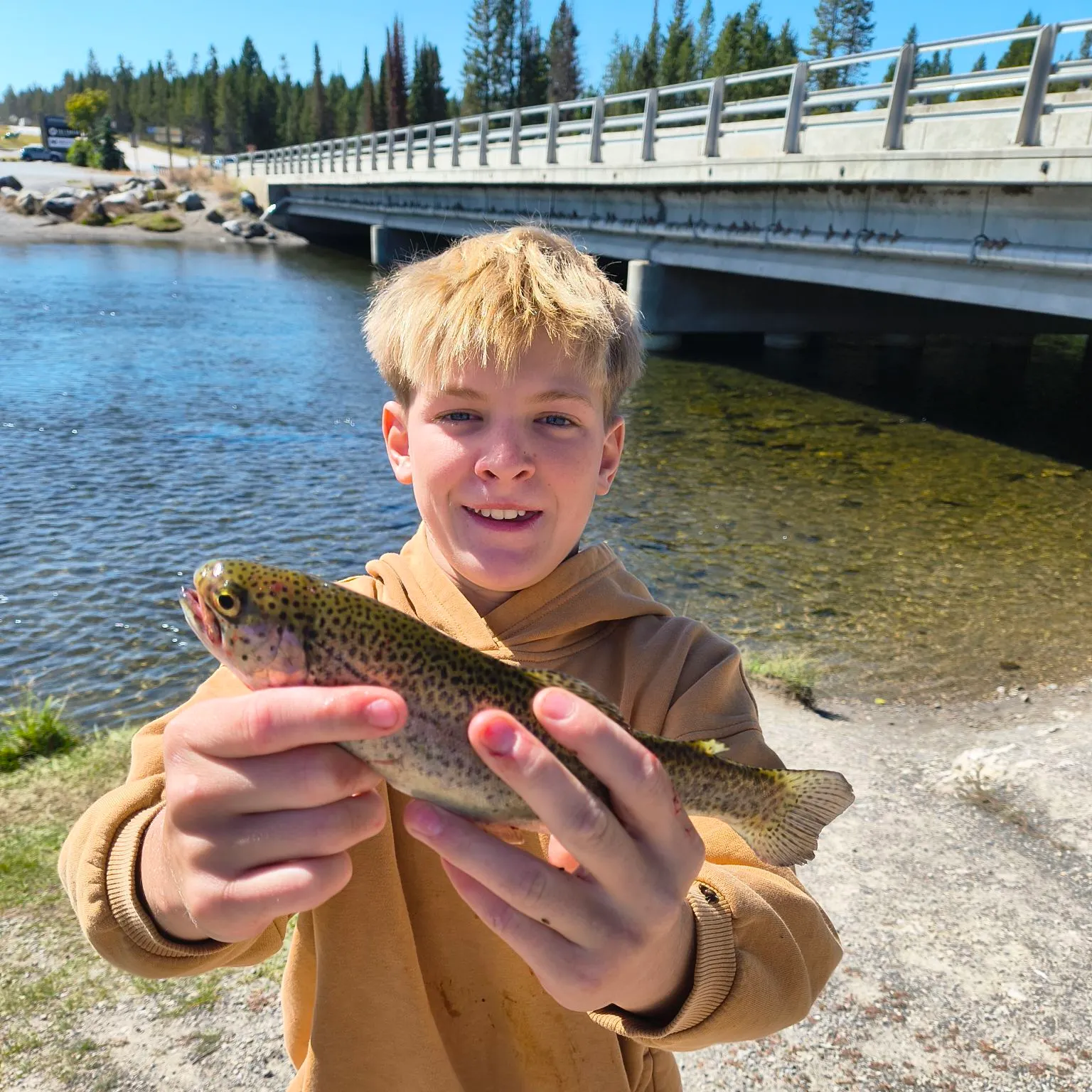 Rainbow trout caught on Fishbrain