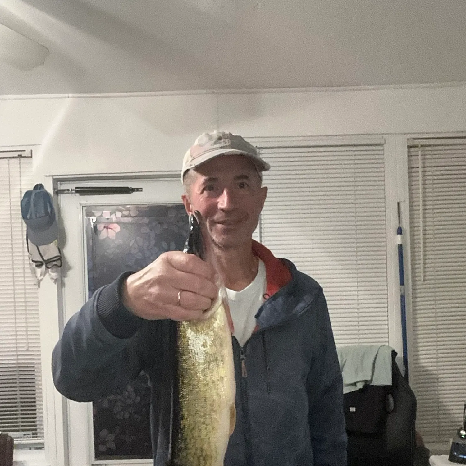 Chain pickerel caught on Fishbrain
