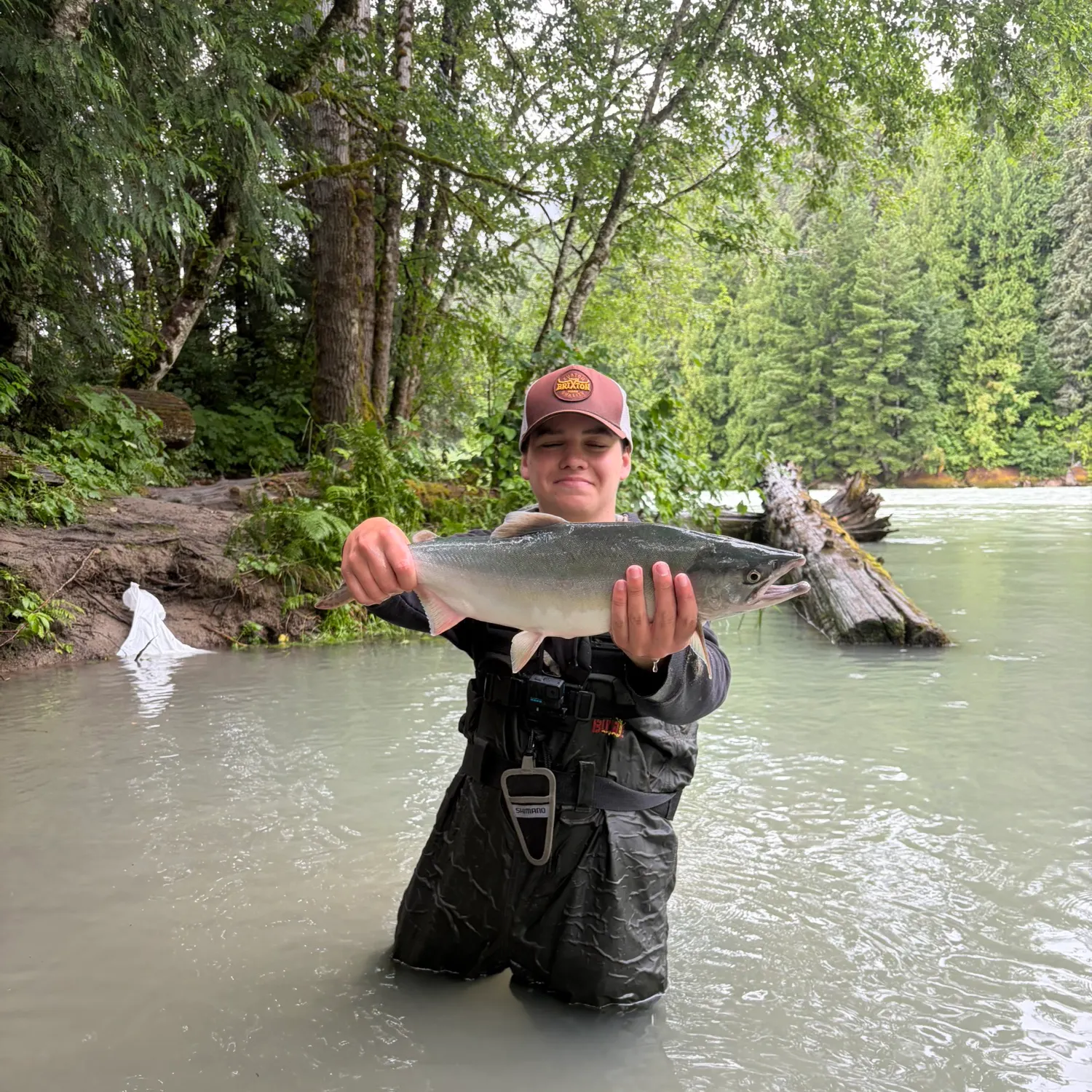 The most recent Pink salmon catches on Fishbrain