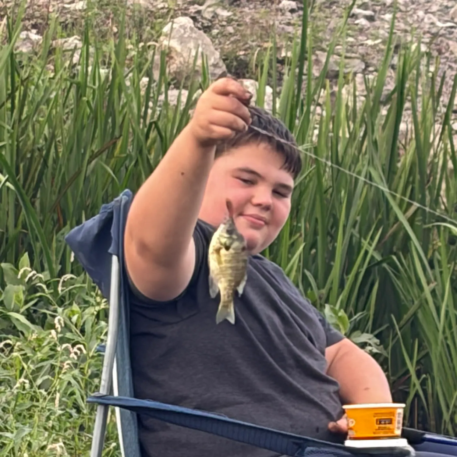 Bluegill caught on Fishbrain